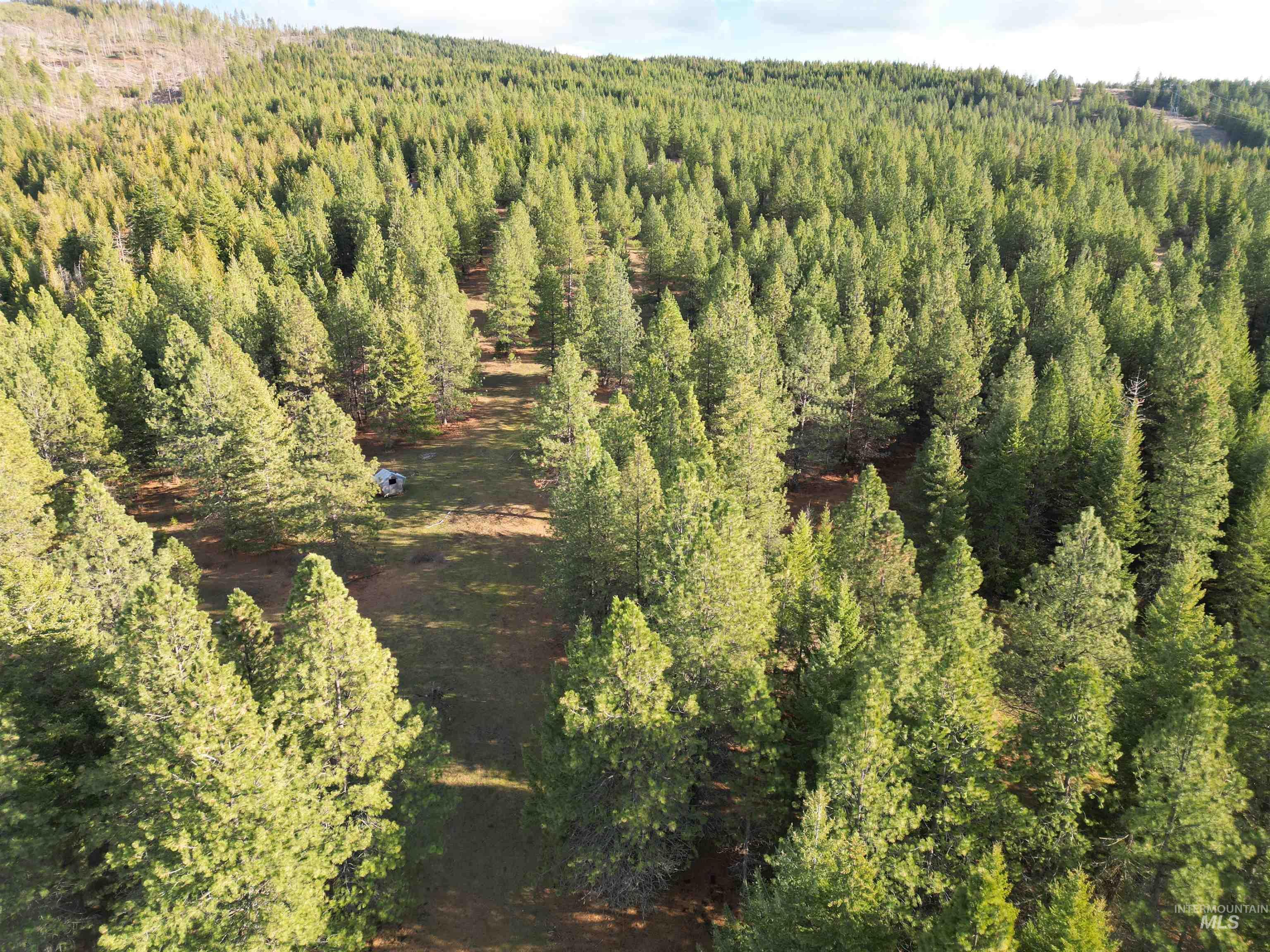 1080 Mason Butte Road Kendrick, ID 83537 - Photo 36 of 50