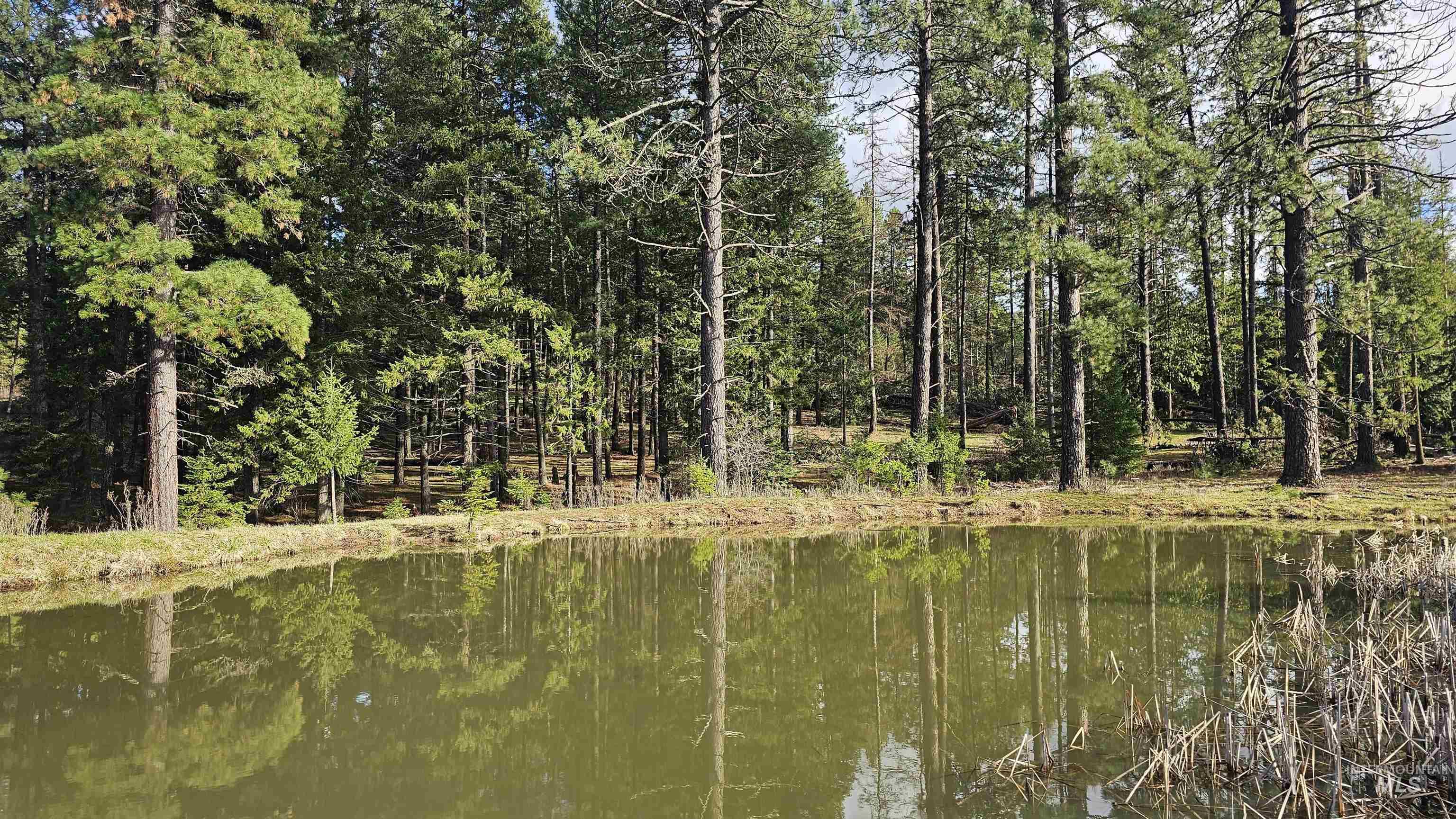 1080 Mason Butte Road Kendrick, ID 83537 - Photo 37 of 50