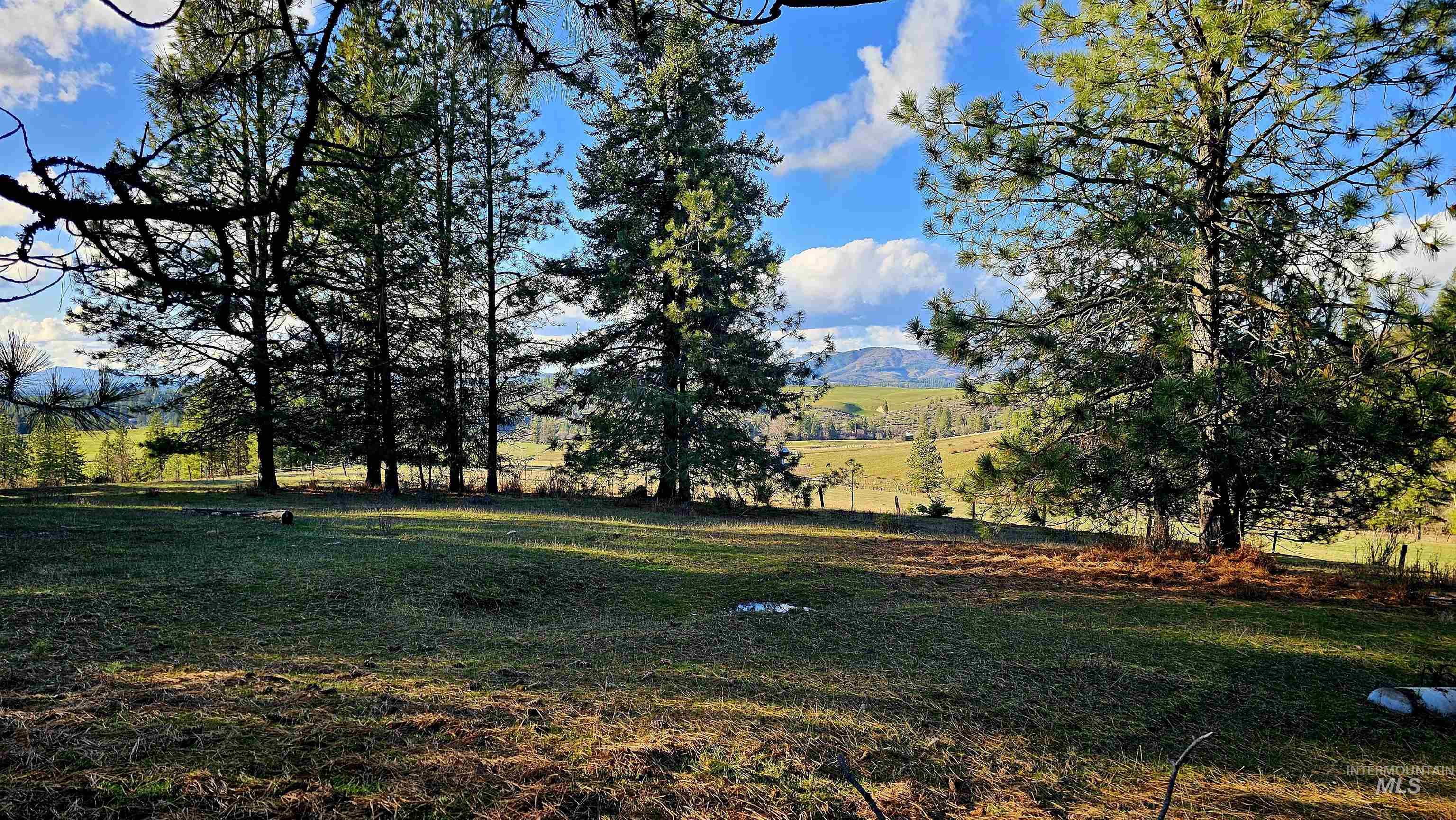 1080 Mason Butte Road Kendrick, ID 83537 - Photo 40 of 50