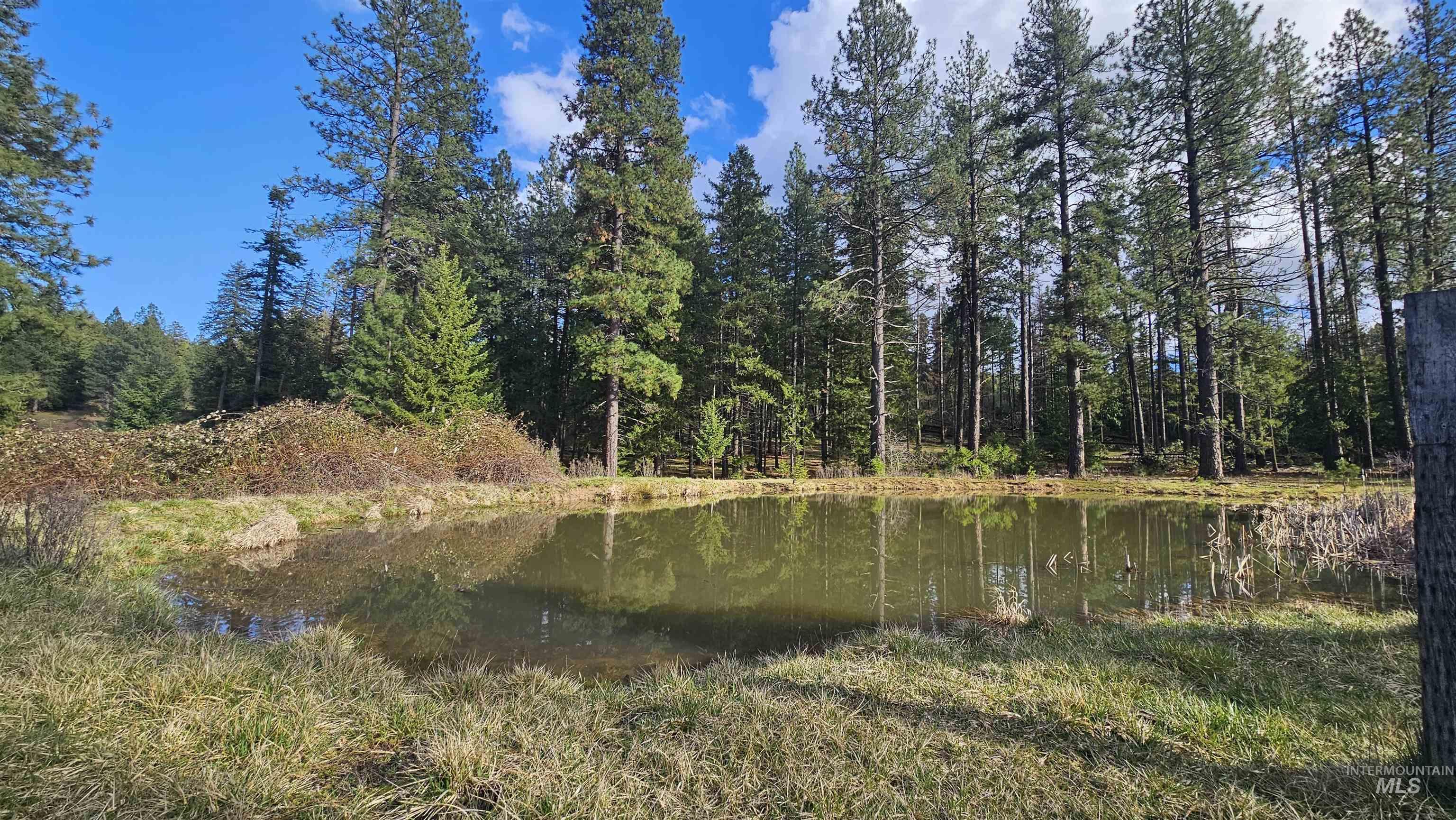 1080 Mason Butte Road Kendrick, ID 83537 - Photo 4 of 50