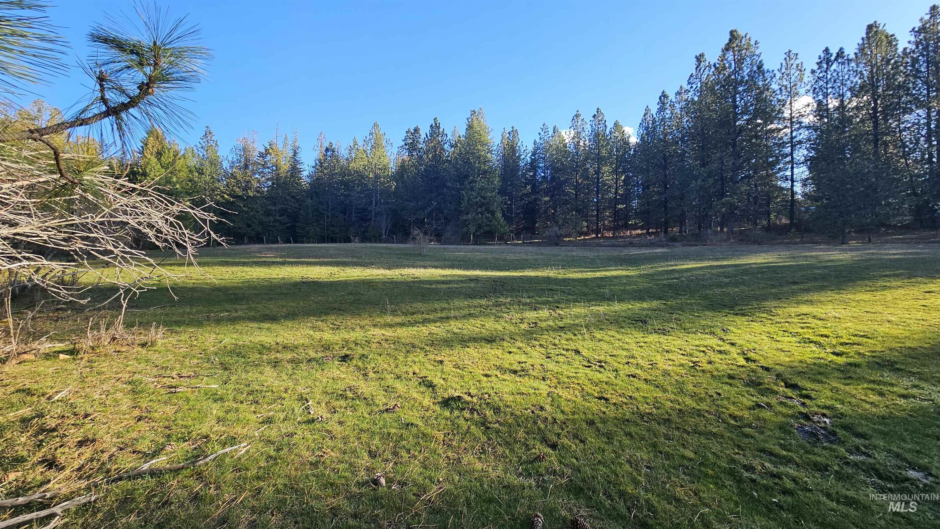 1080 Mason Butte Road Kendrick, ID 83537 - Photo 41 of 50