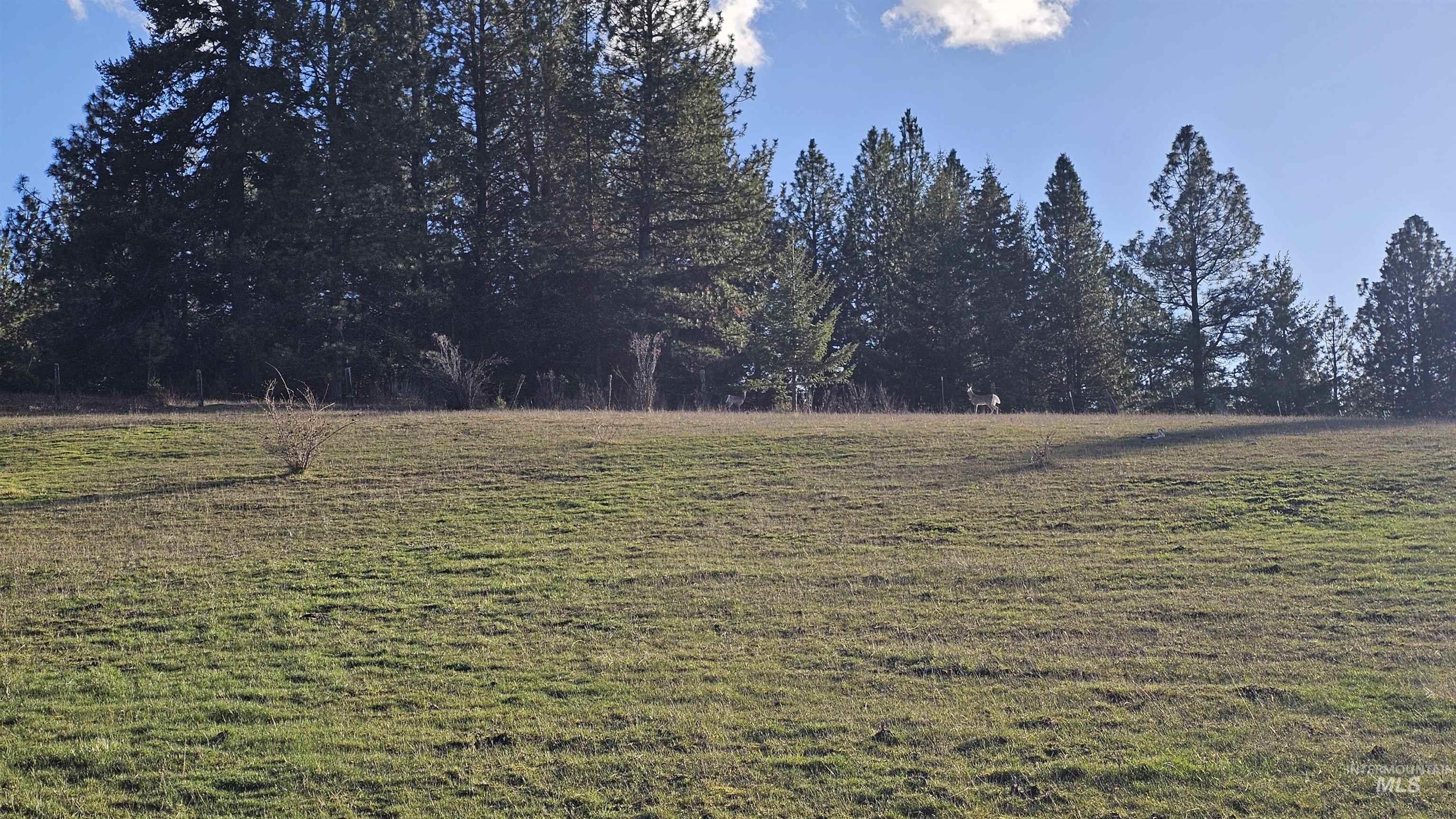 1080 Mason Butte Road Kendrick, ID 83537 - Photo 42 of 50