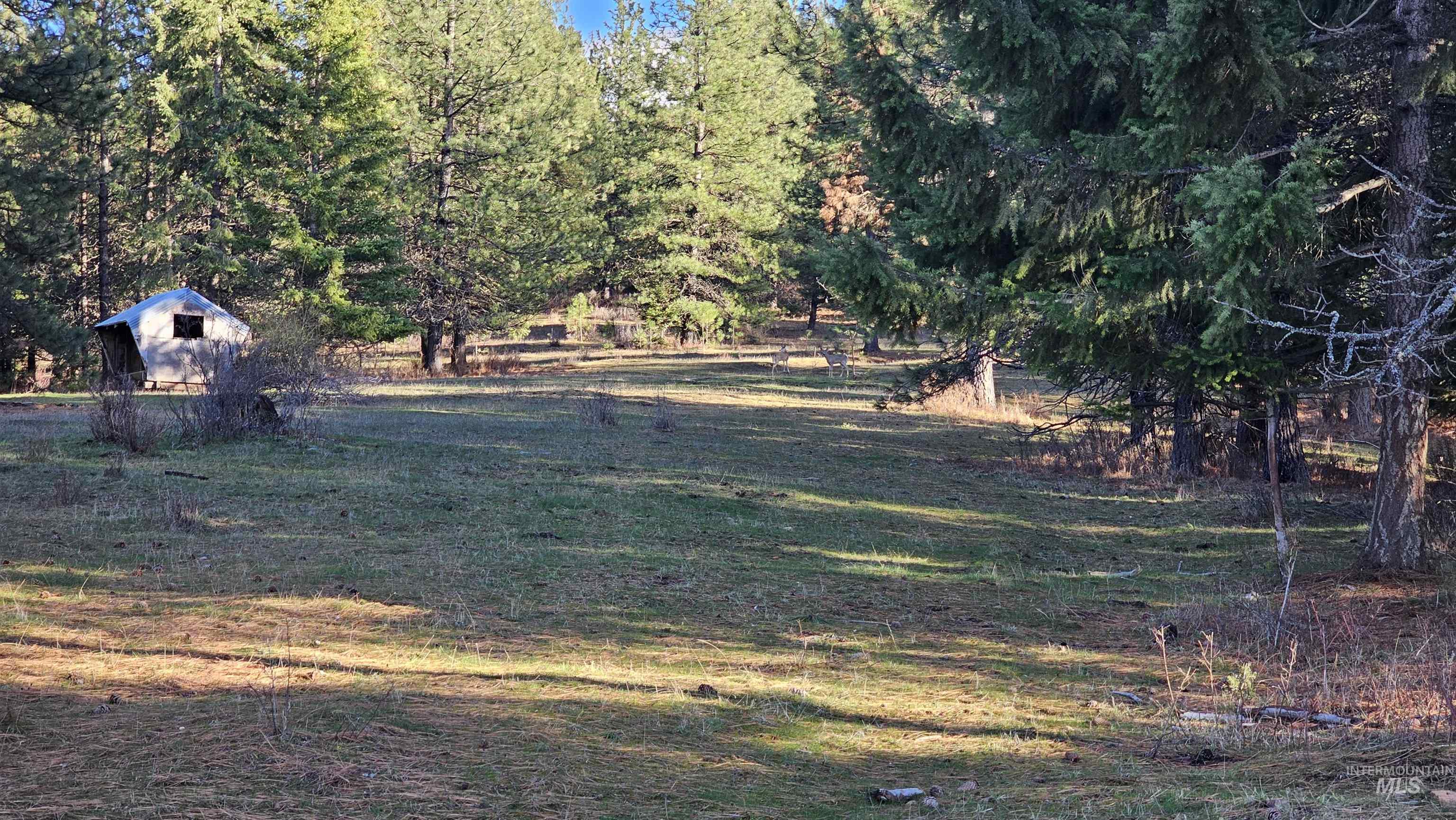 1080 Mason Butte Road Kendrick, ID 83537 - Photo 43 of 50