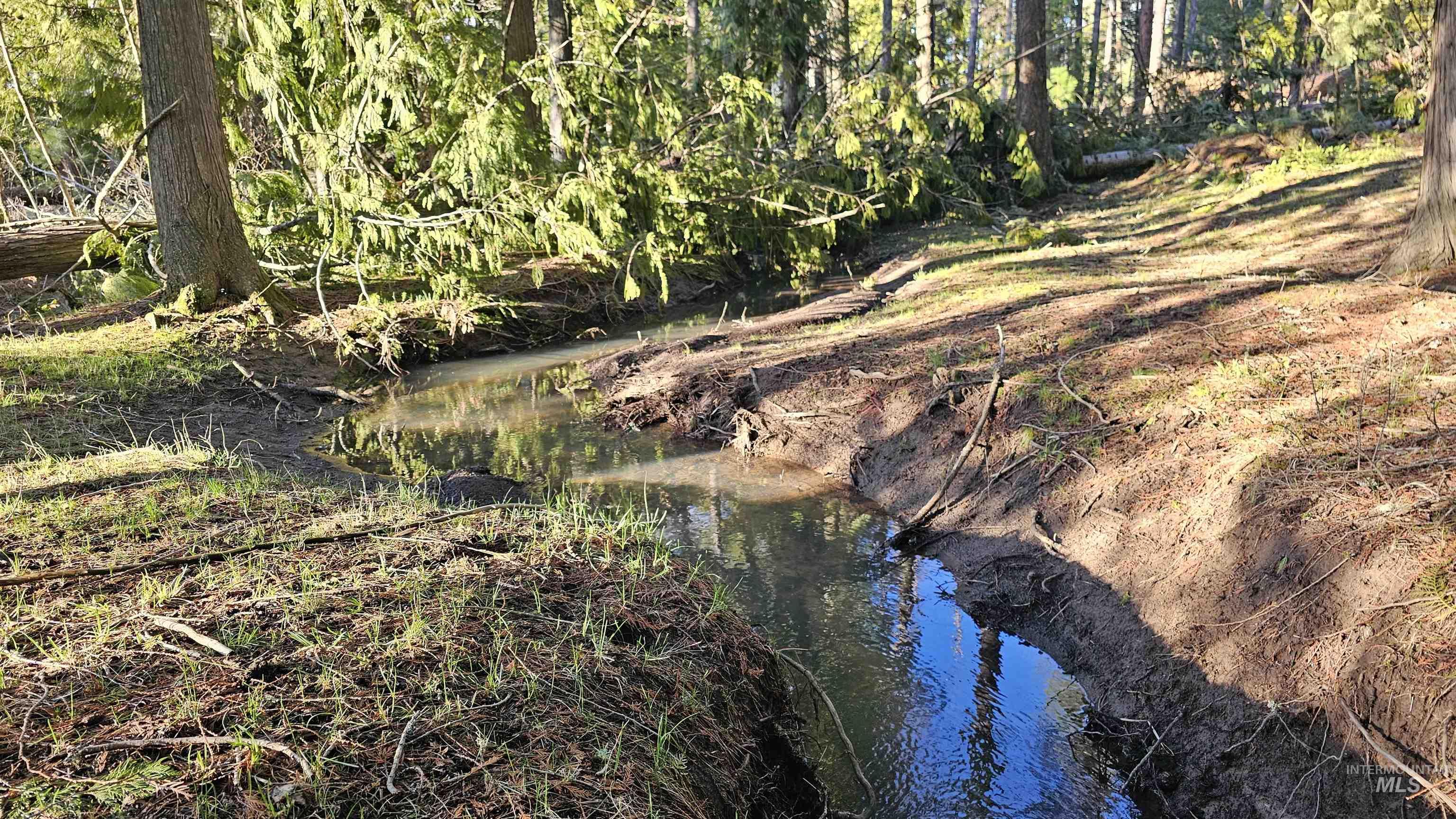 1080 Mason Butte Road Kendrick, ID 83537 - Photo 44 of 50