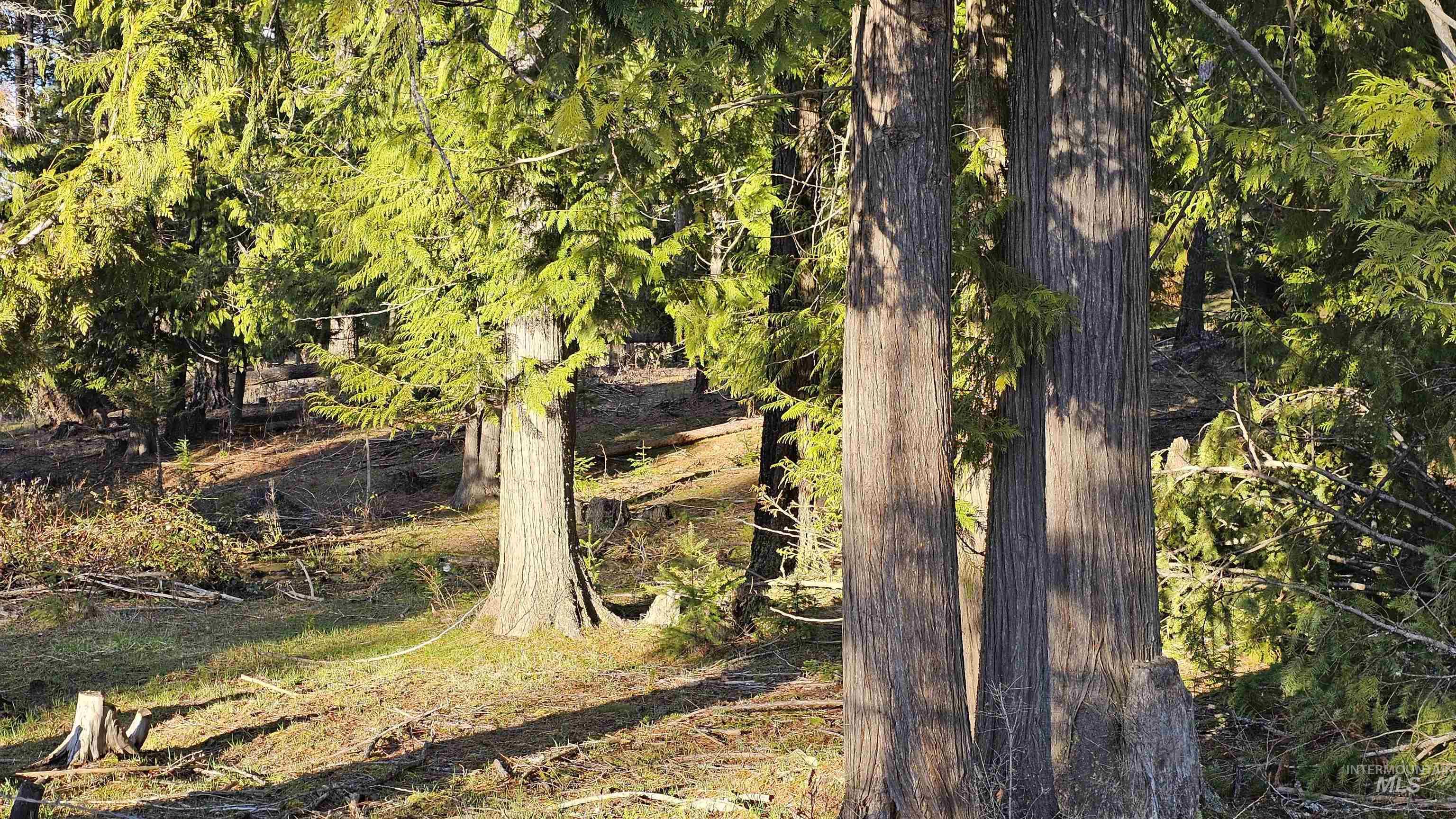 1080 Mason Butte Road Kendrick, ID 83537 - Photo 45 of 50