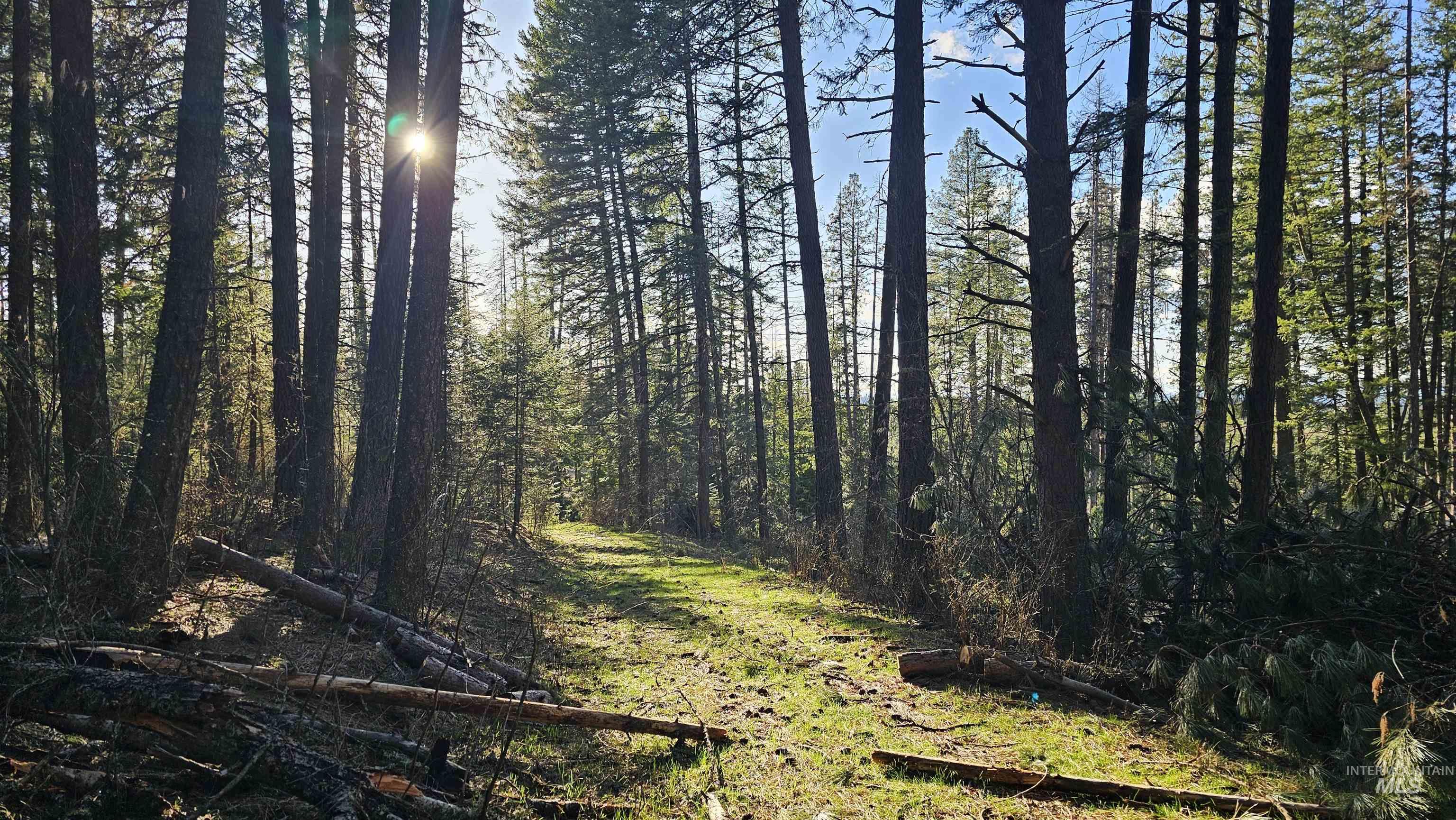 1080 Mason Butte Road Kendrick, ID 83537 - Photo 47 of 50