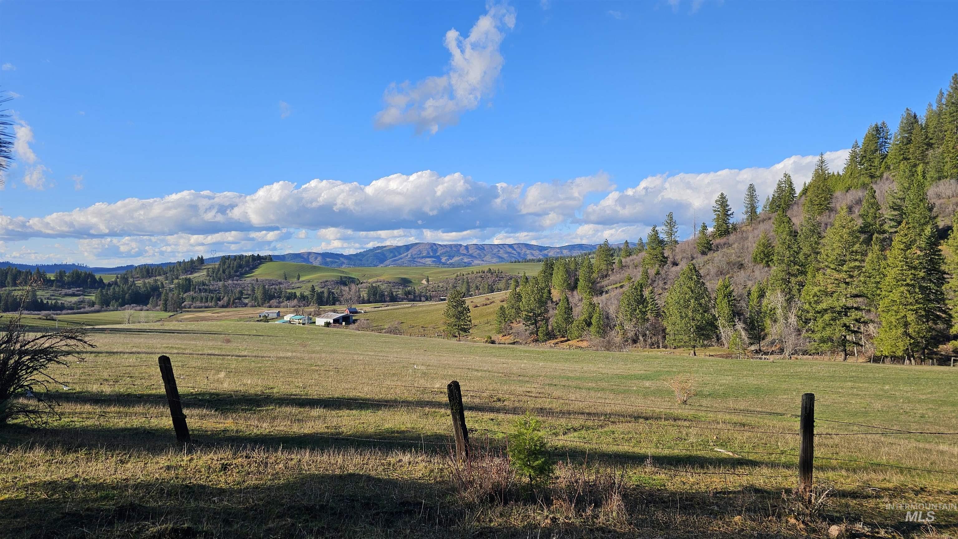 1080 Mason Butte Road Kendrick, ID 83537 - Photo 50 of 50