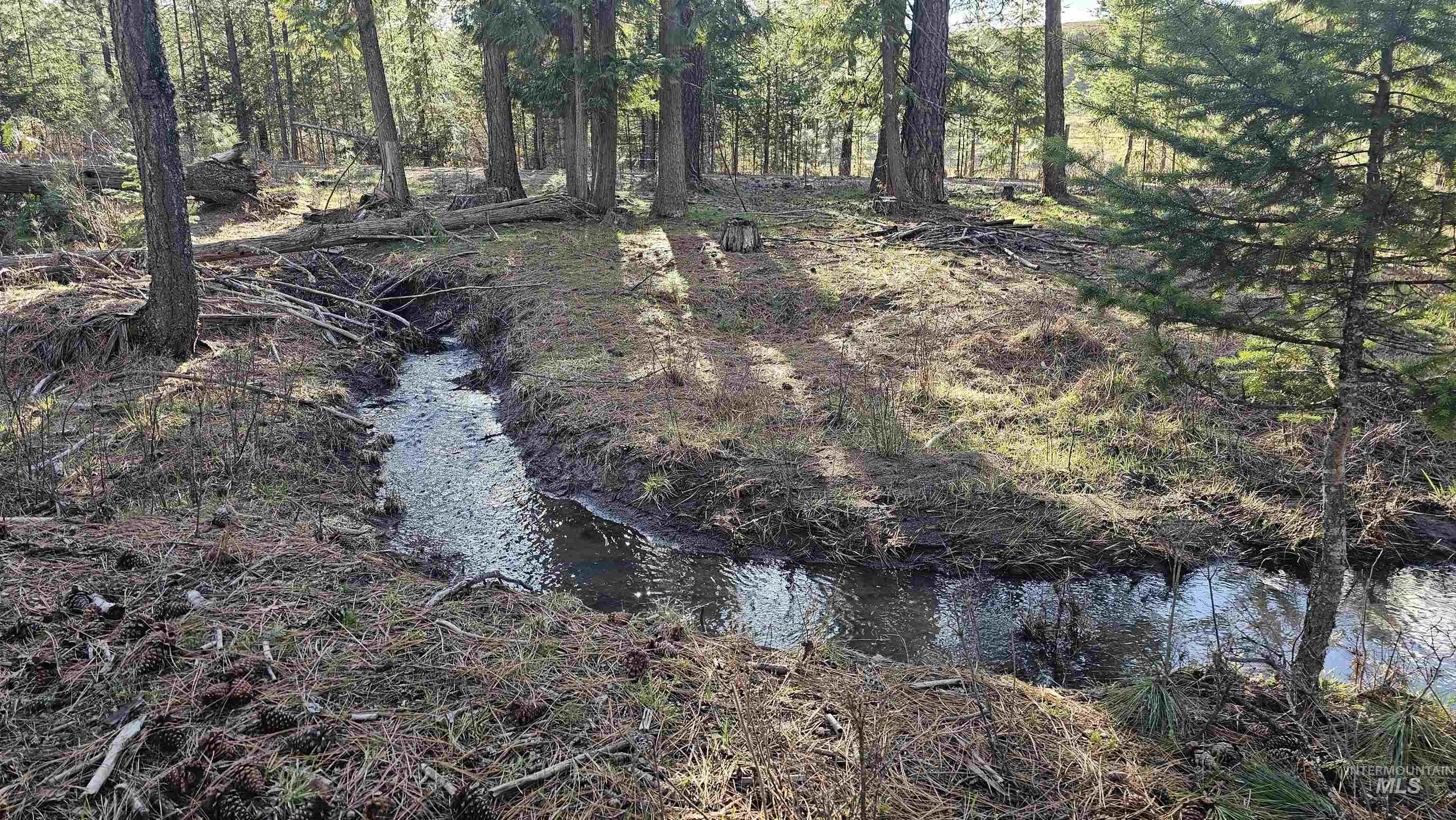 1080 Mason Butte Road Kendrick, ID 83537 - Photo 5 of 50