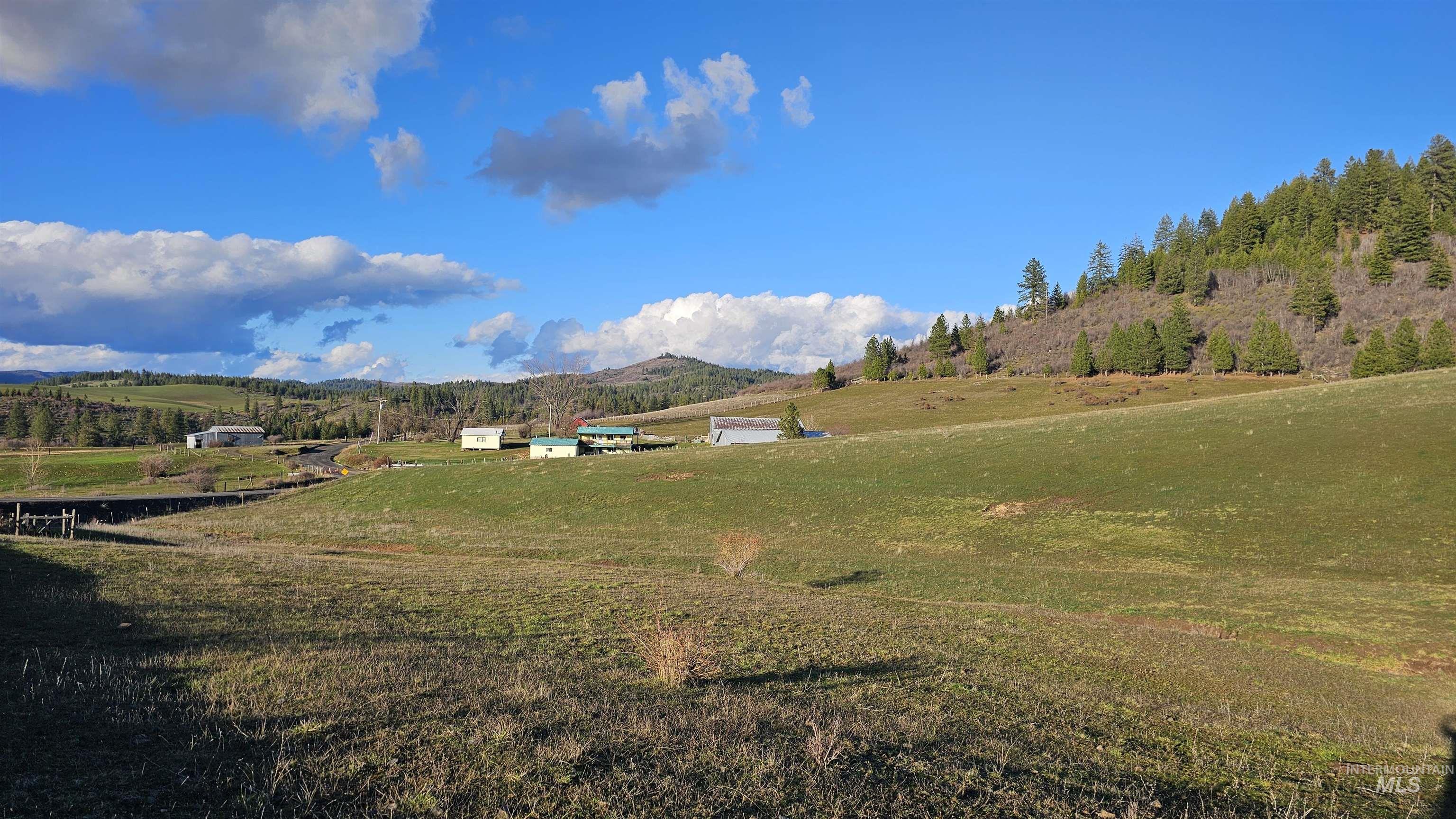 1080 Mason Butte Road Kendrick, ID 83537 - Photo 6 of 50