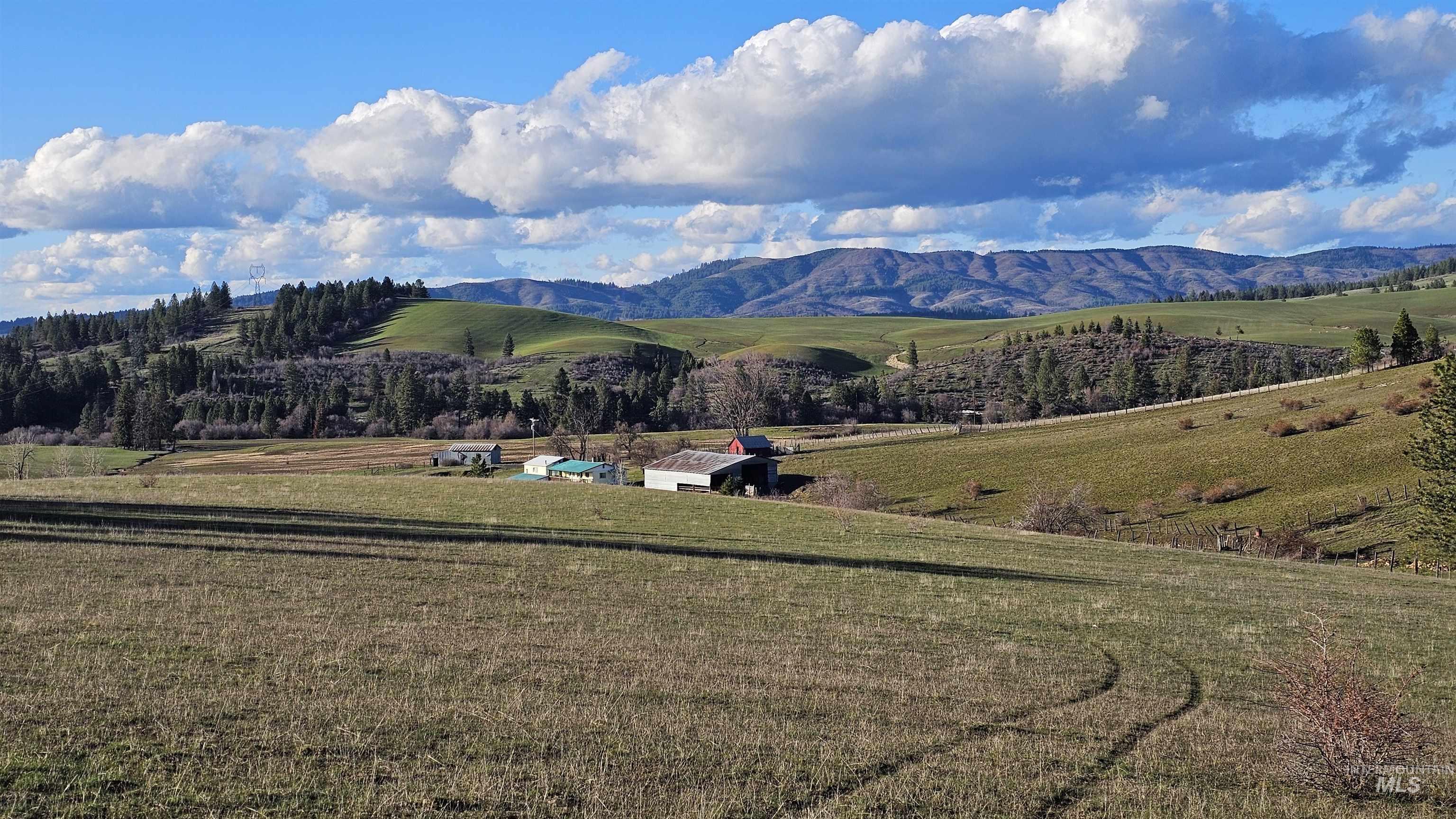 1080 Mason Butte Road Kendrick, ID 83537 - Photo 7 of 50