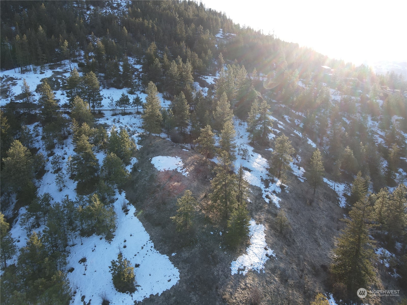 156-tbd Gold Rush Ridge Road Oroville, WA 98844 - Photo 6 of 18 Gallery Image 6