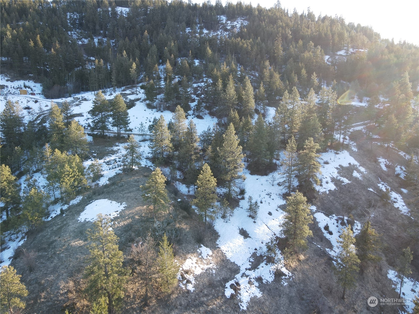 156-tbd Gold Rush Ridge Road Oroville, WA 98844 - Photo 7 of 18 Gallery Image 7