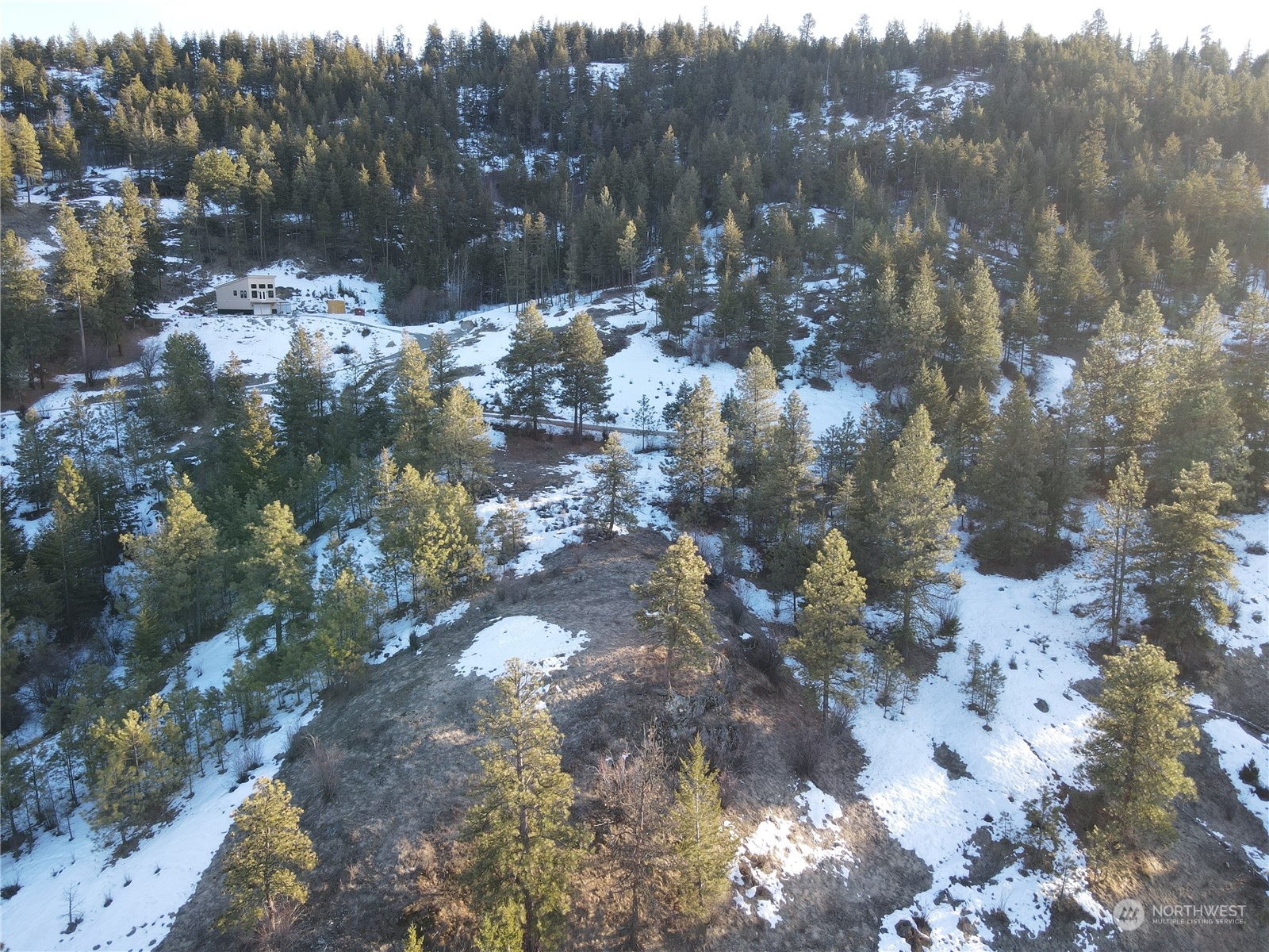156-tbd Gold Rush Ridge Road Oroville, WA 98844 - Photo 8 of 18 Gallery Image 8