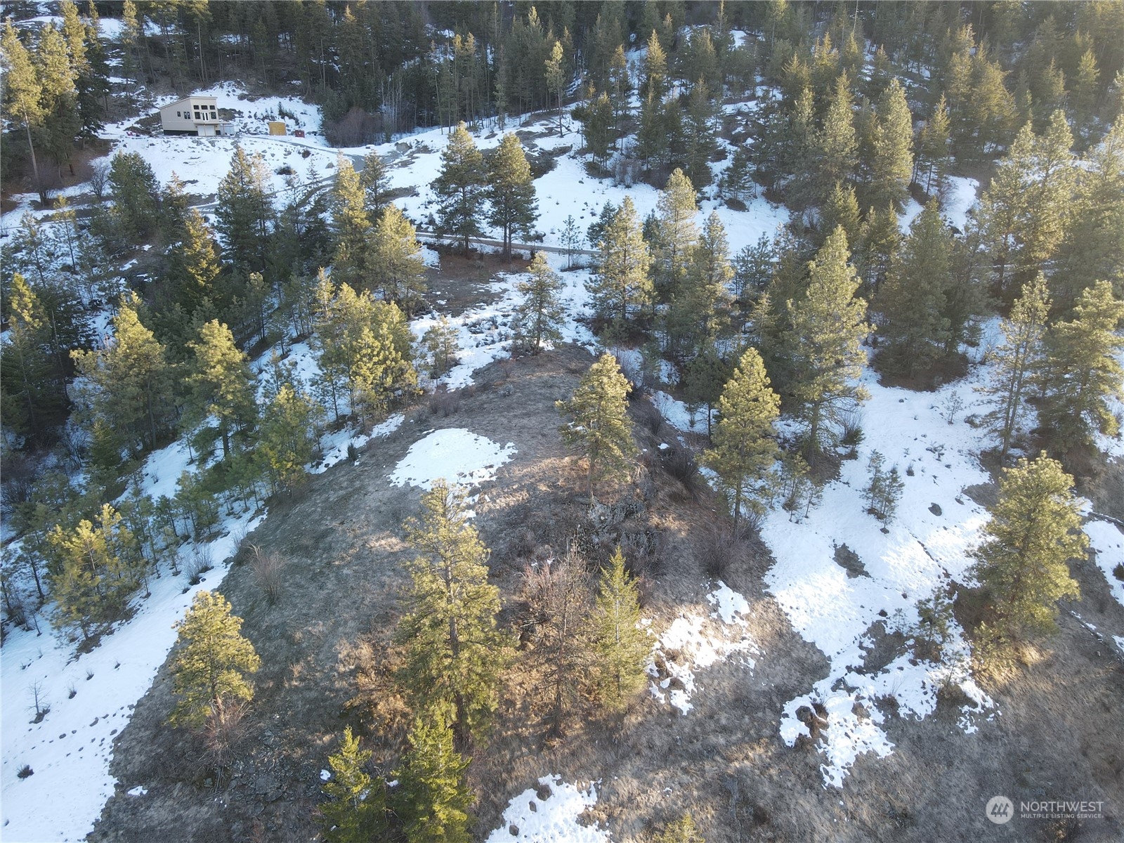 156-tbd Gold Rush Ridge Road Oroville, WA 98844 - Photo 9 of 18 Gallery Image 9