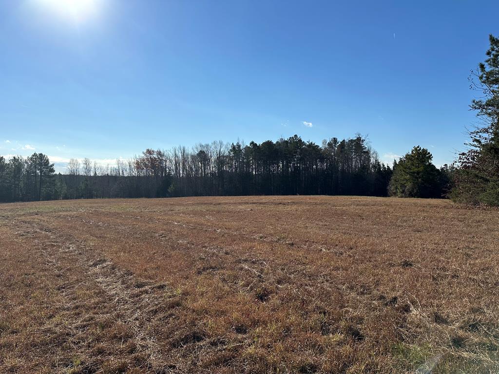 689 Wilson Farm Road Keysville, VA 23947 - Photo 1 of 1 Gallery Image 1