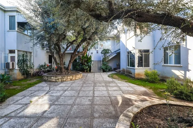 a view of a yard with plants and large trees