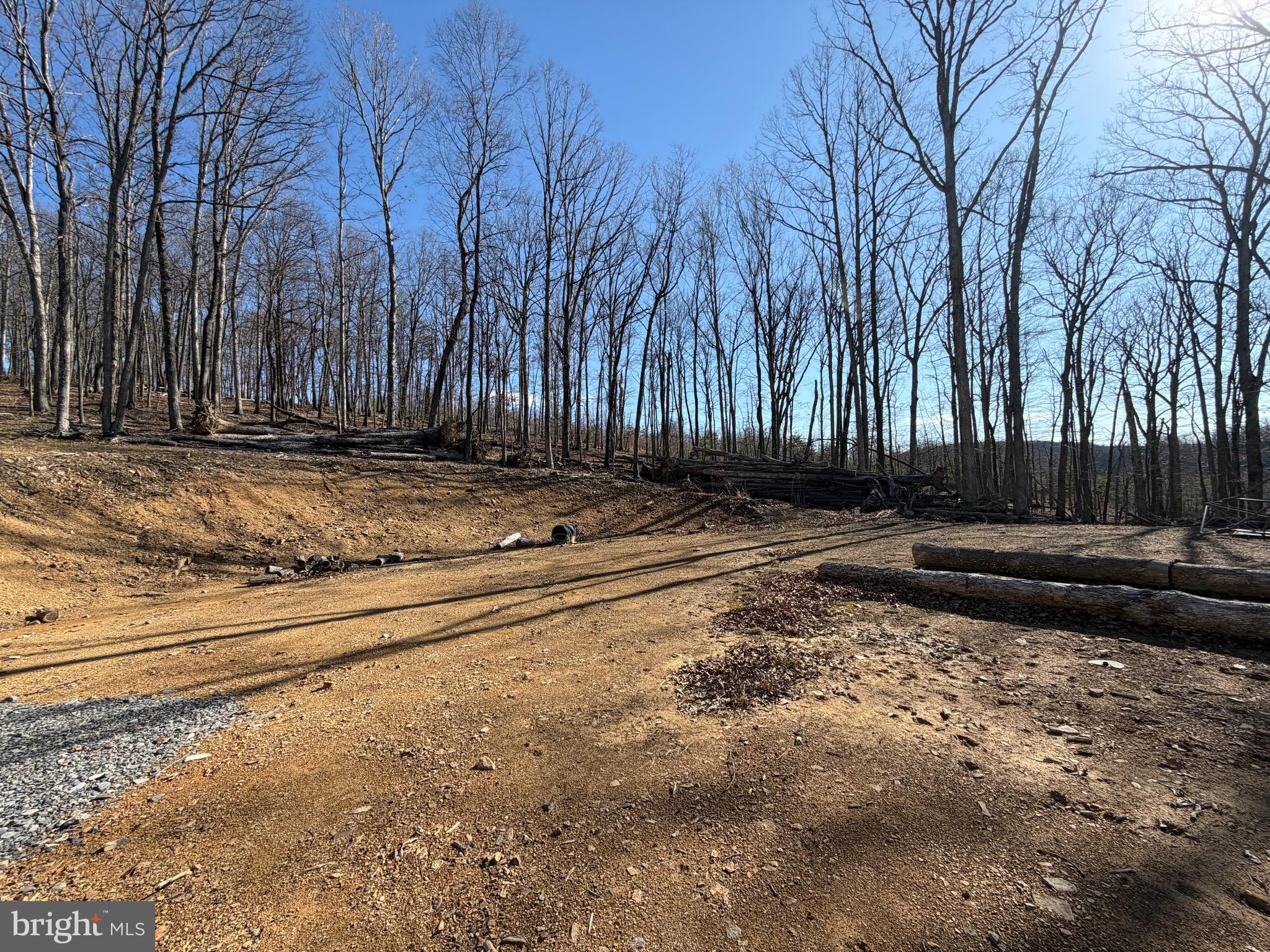 Goldsborough Road Springfield, WV 26763 - Photo 4 of 18