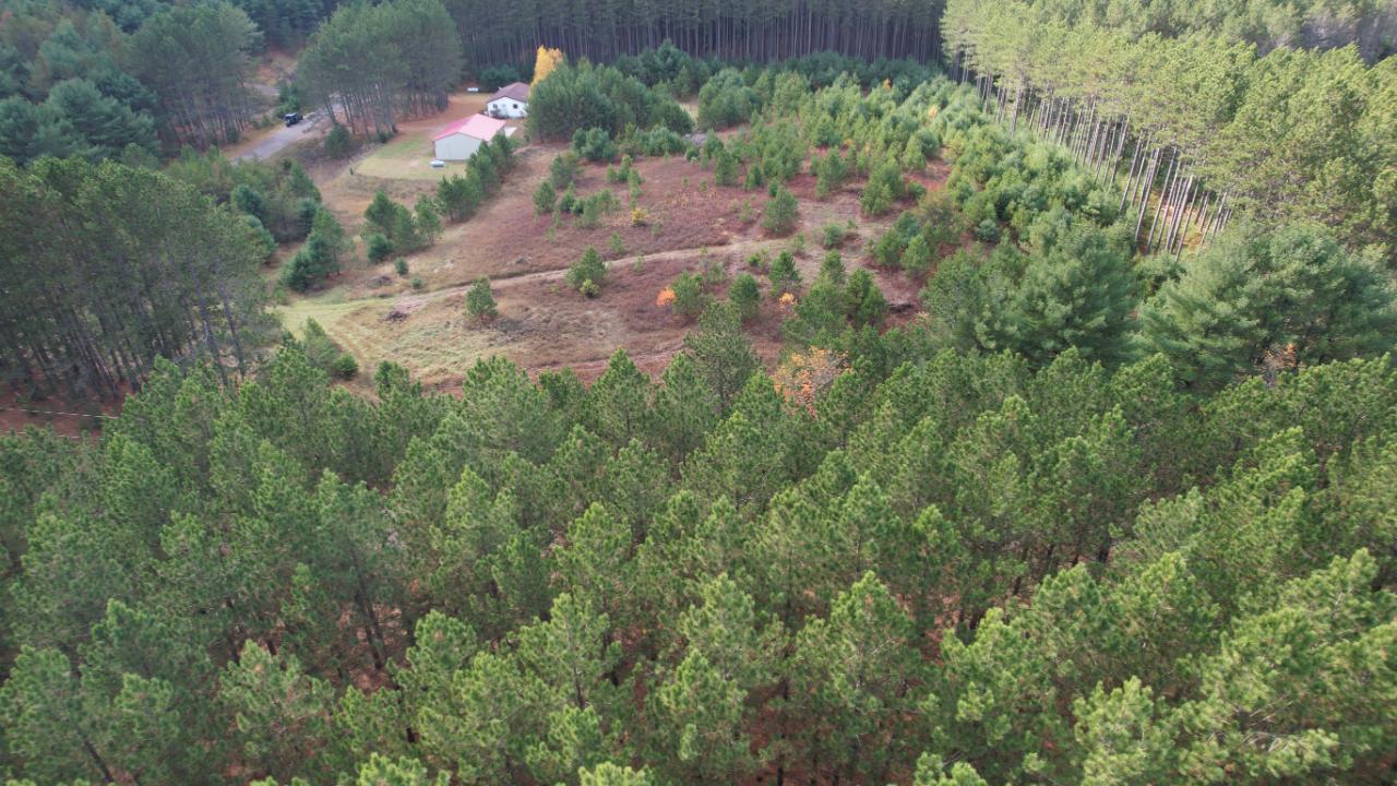 On Forest Road, Unit 1 9 AC Tomahawk, WI 54487 - Photo 17 of 19 Gallery Image 17