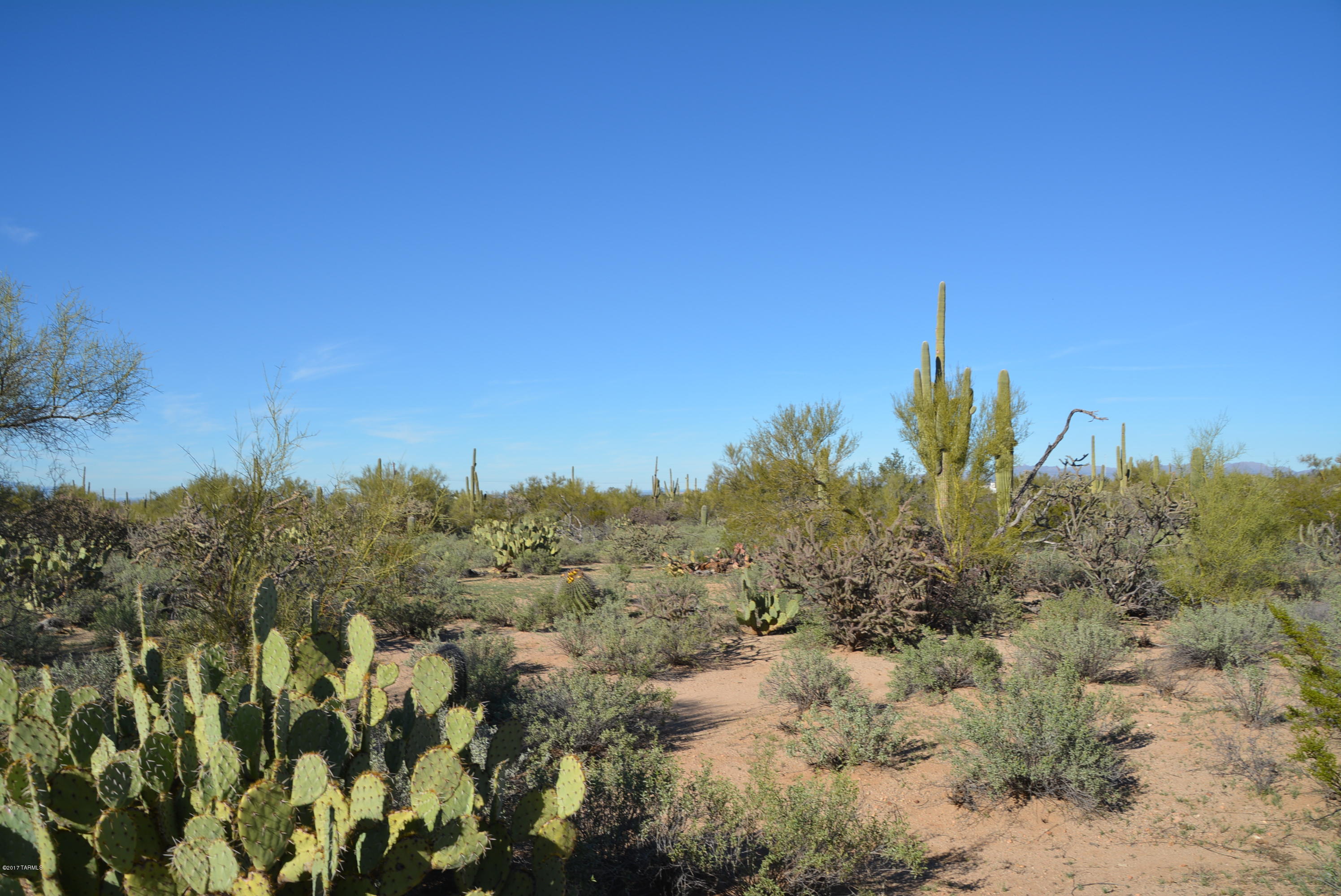 11700 West Rudasill Road, Unit LOT 4 Tucson, AZ 85743 - Photo 19 of 33