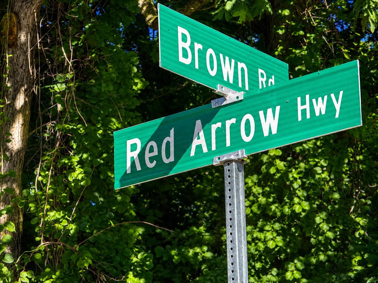 0 Red Arrow Highway Lakeside, MI 49128 - Photo 20 of 25