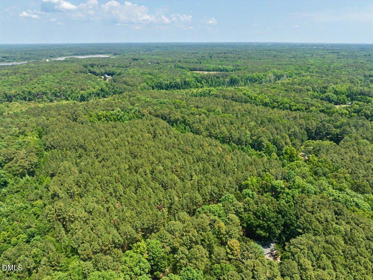Lot 2 Clyde Farrell Road Apex, NC 27523 - Photo 3 of 28