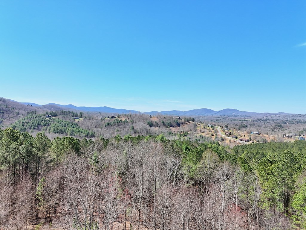 899 Ridge Pointe Way Blairsville, GA 30512 - Photo 87 of 104 Gallery Image 87