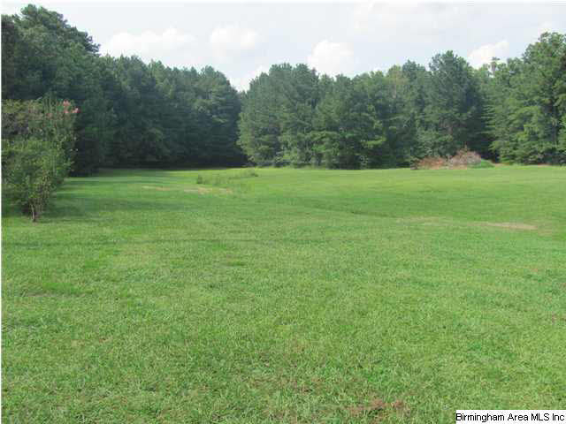 100 Cahaba Oaks Trail Pelham, AL 35124 - Photo 7 of 24