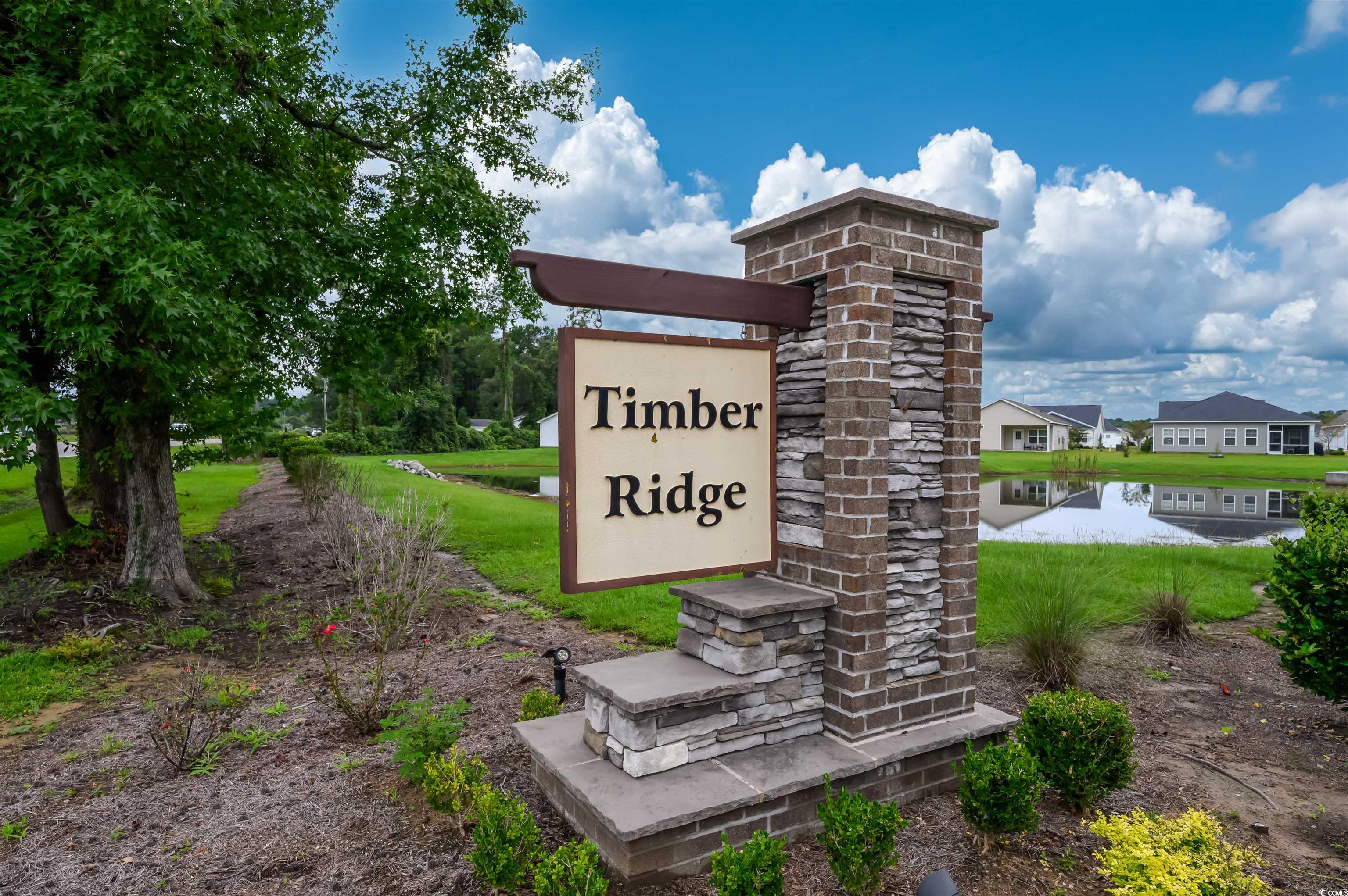 251 Red Maple Loop Longs, SC 29568 - Photo 3 of 40