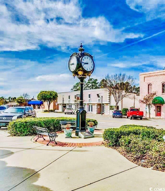 251 Red Maple Loop Longs, SC 29568 - Photo 36 of 40