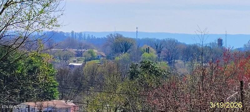 204 Riggs Street Athens, TN 37303 - Photo 12 of 12 view from front porch