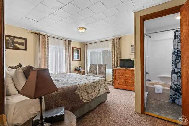 a view of a city and an ocean view