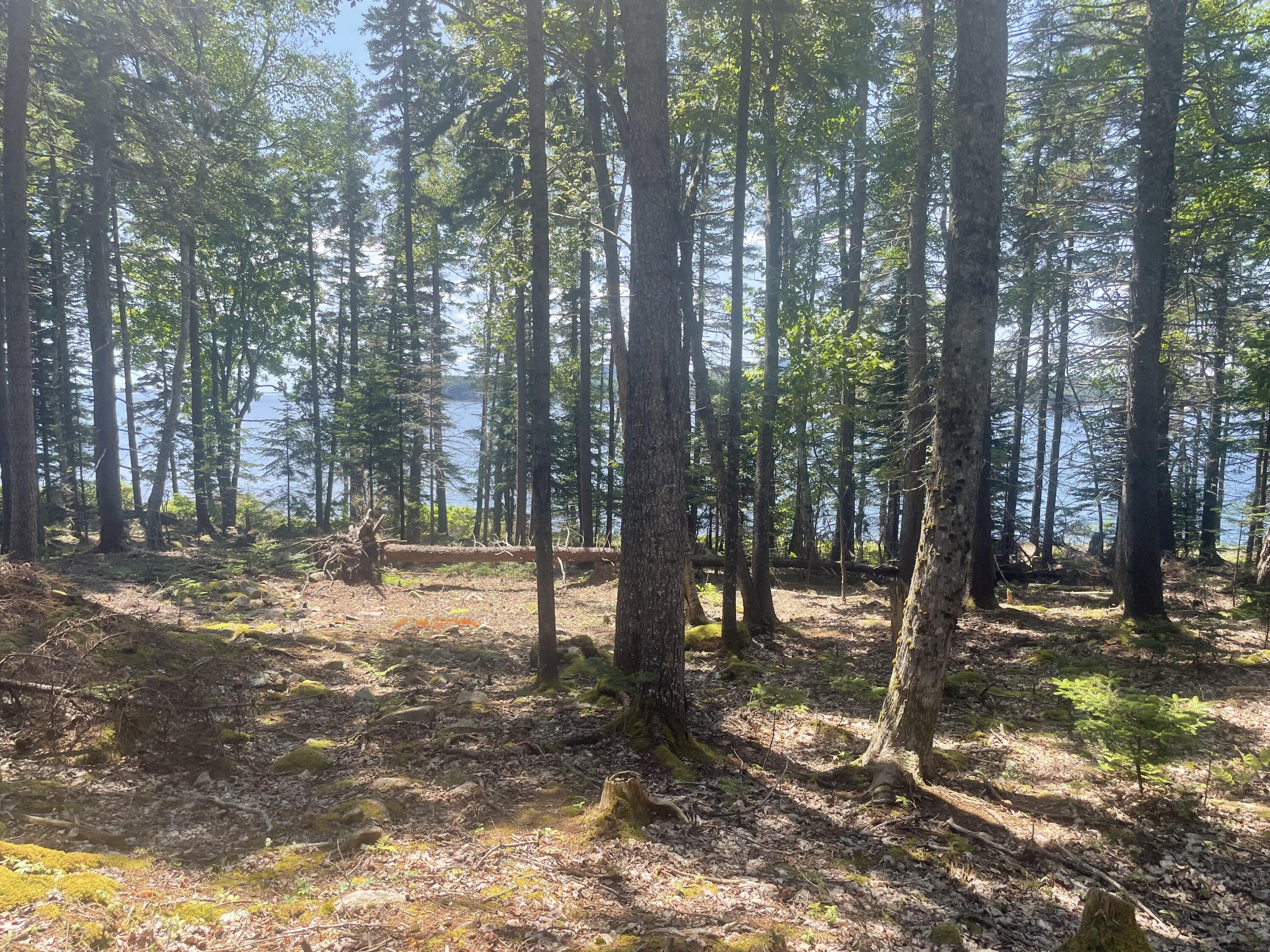 56 Jordan Harbor Road Winter Harbor, ME 04693 - Photo 9 of 12