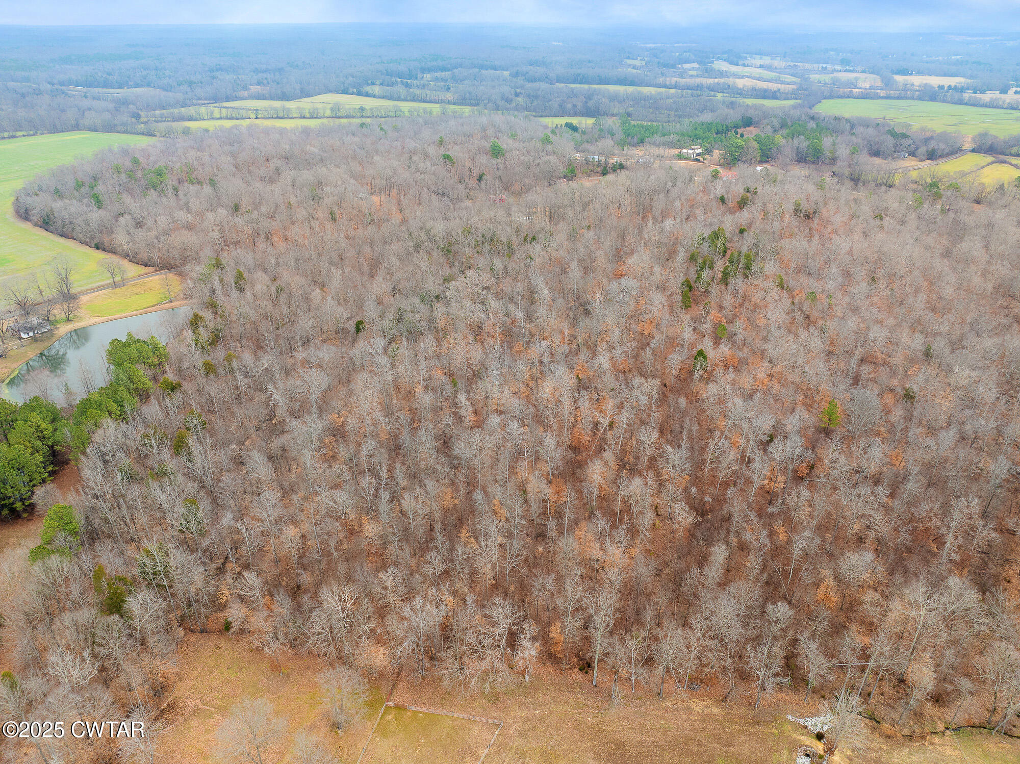 0 Sulphur Spring Road Parsons, TN 38363 - Photo 14 of 25 a view of a dry yard with wooden fence