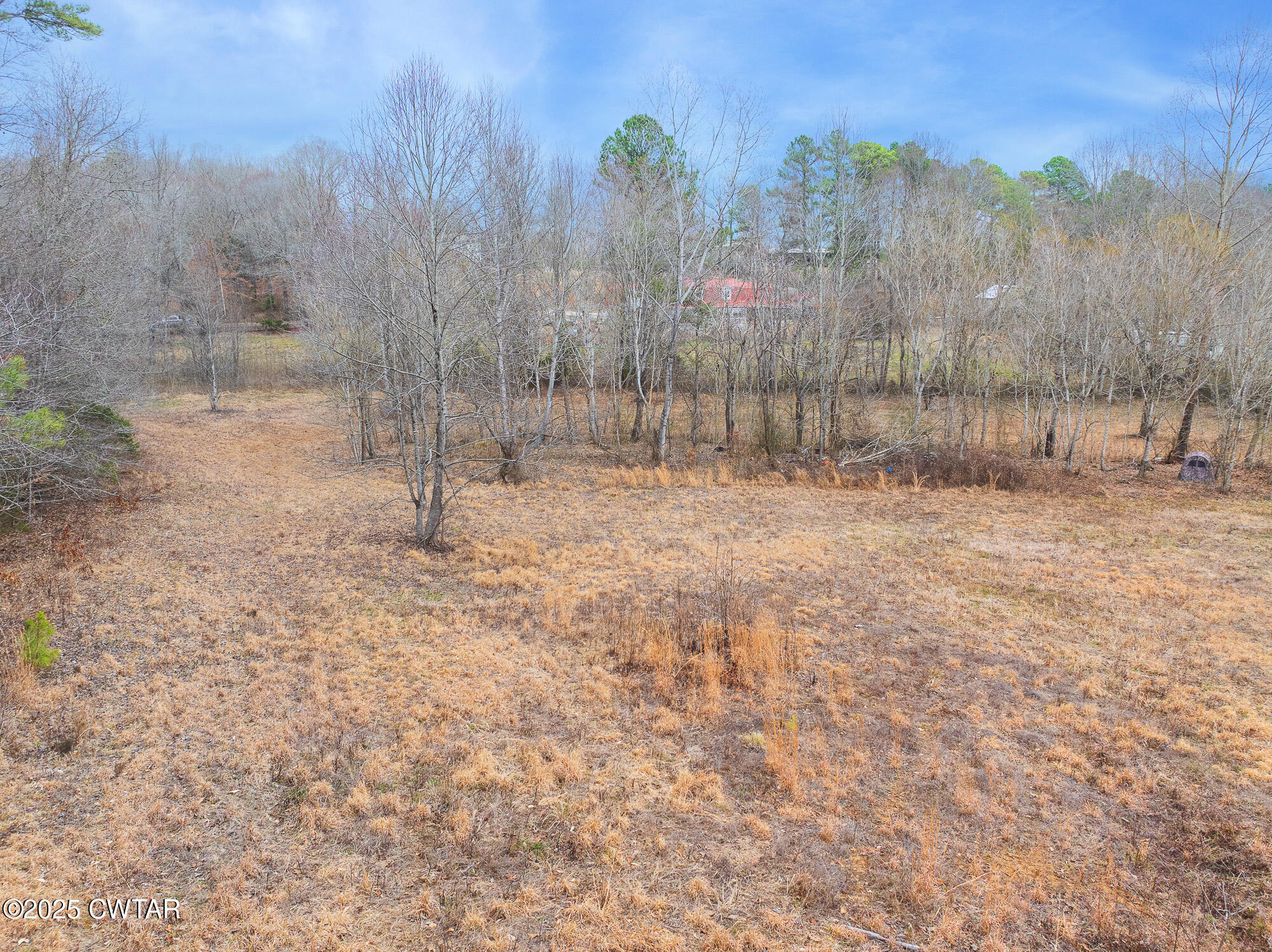 0 Sulphur Spring Road Parsons, TN 38363 - Photo 20 of 25 a backyard of a house with lots of green space