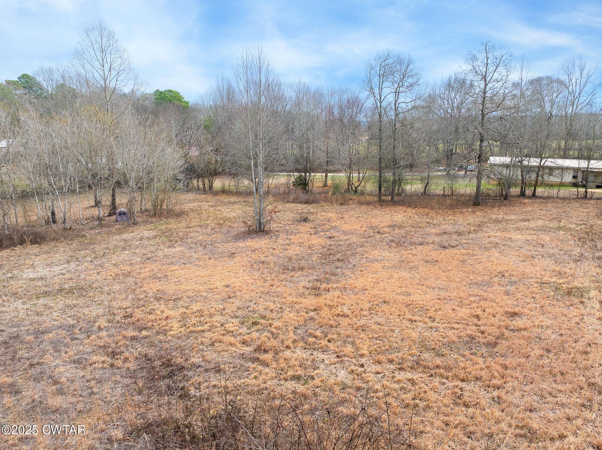 0 Sulphur Spring Road Parsons, TN 38363 - Photo 21 of 25 a view of a yard with a tree