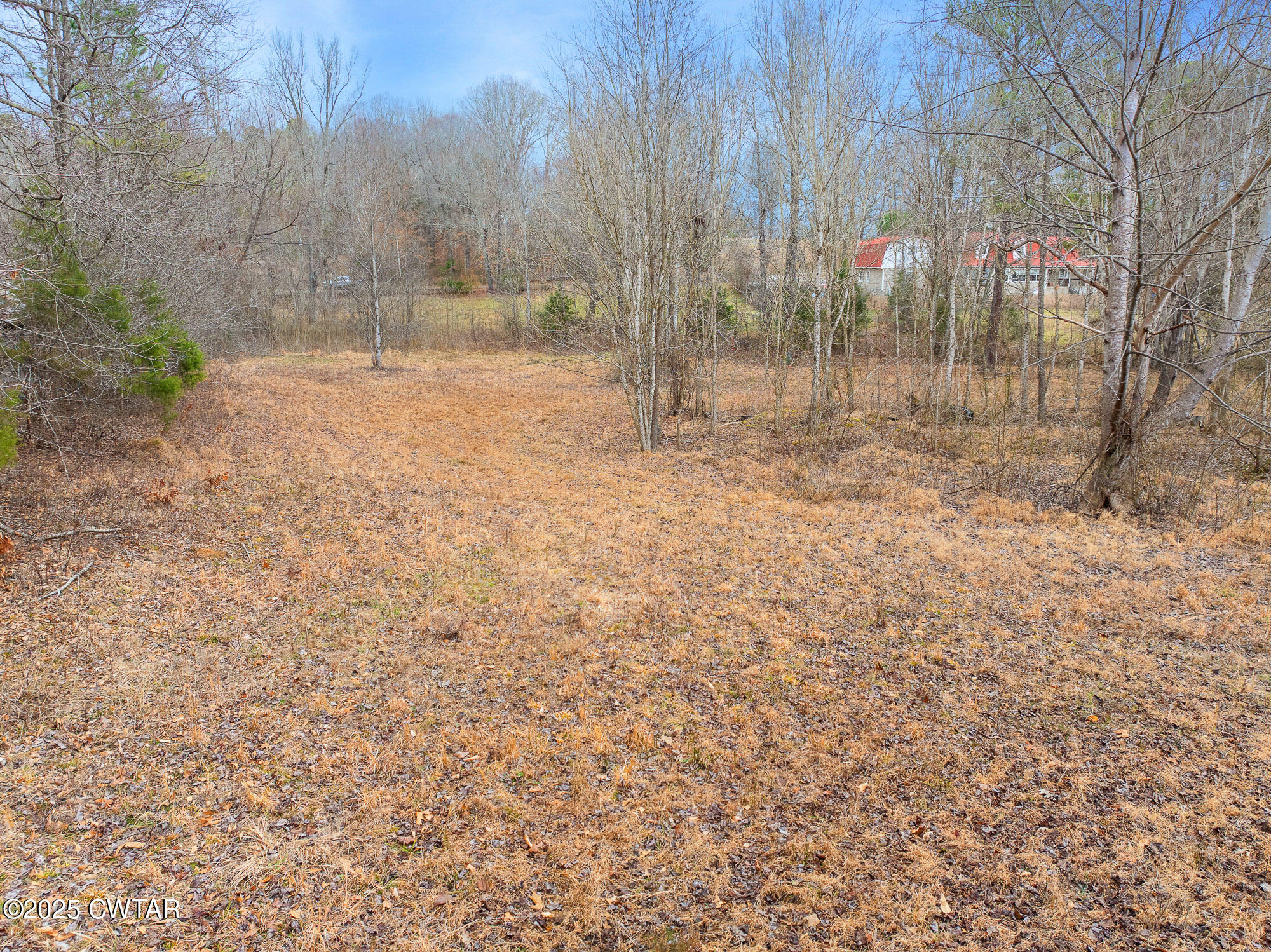 0 Sulphur Spring Road Parsons, TN 38363 - Photo 22 of 25 a view of backyard with green space
