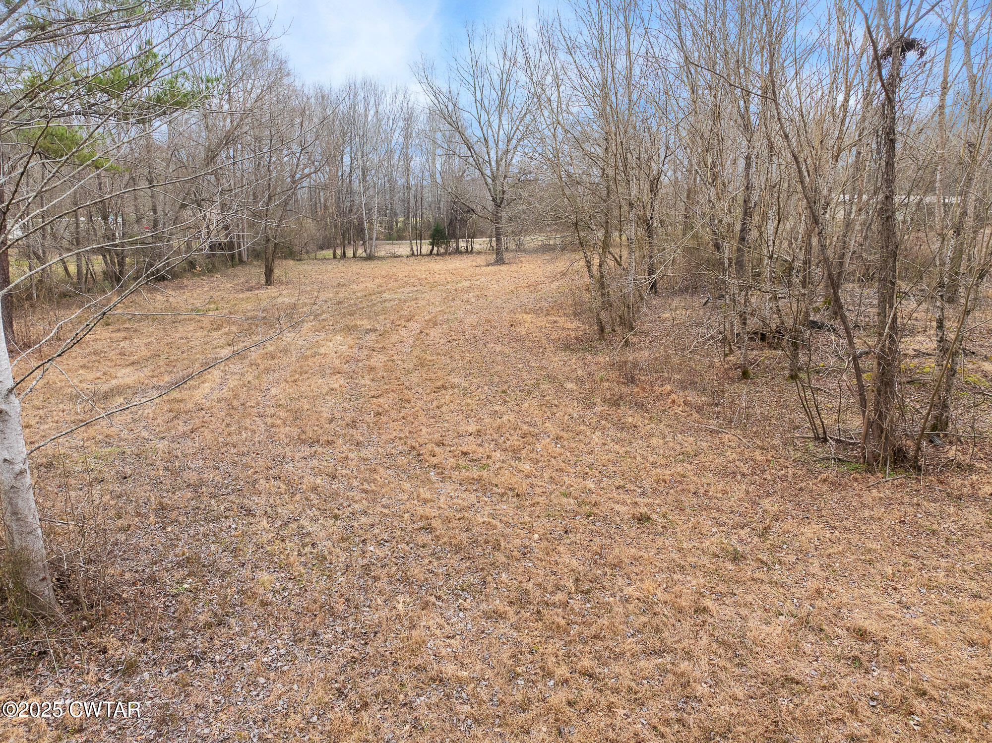 0 Sulphur Spring Road Parsons, TN 38363 - Photo 23 of 25 a backyard of a house with trees