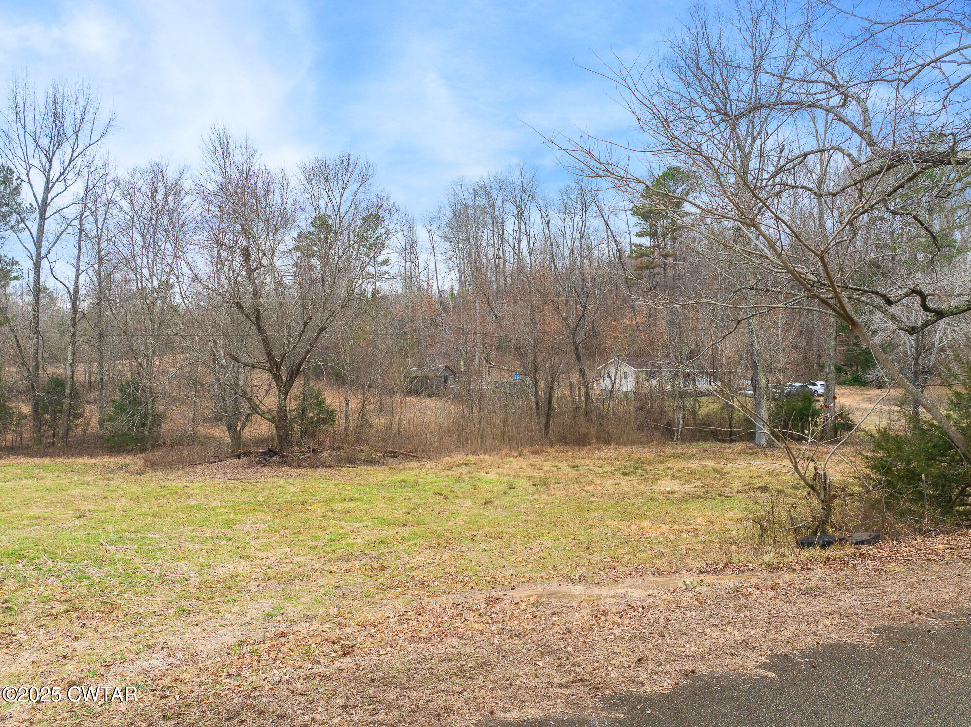 0 Sulphur Spring Road Parsons, TN 38363 - Photo 5 of 25 a view of pool and trees in the background