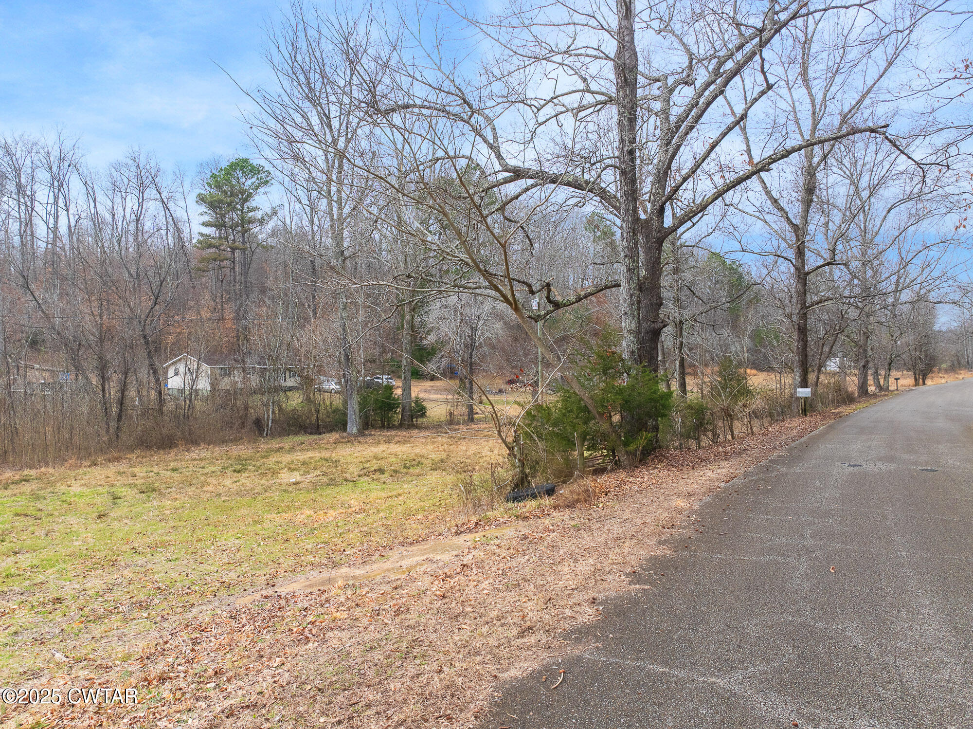 0 Sulphur Spring Road Parsons, TN 38363 - Photo 7 of 25 a view of a yard with trees