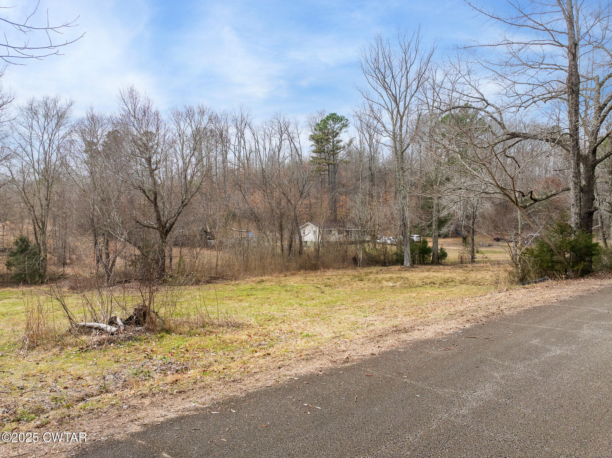 0 Sulphur Spring Road Parsons, TN 38363 - Photo 8 of 25 a view of a yard with trees