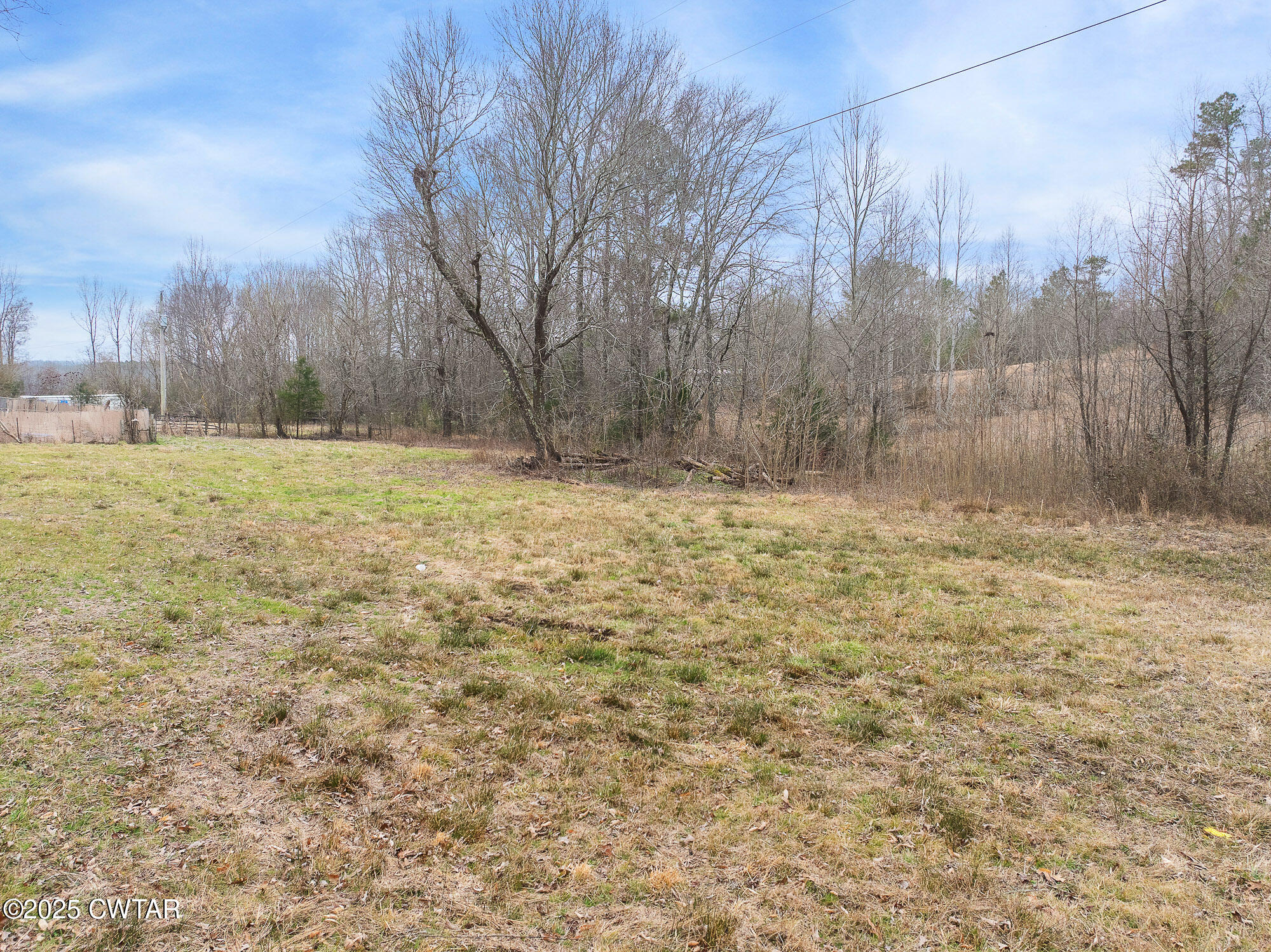 0 Sulphur Spring Road Parsons, TN 38363 - Photo 10 of 25 a view of a yard with a dry yard