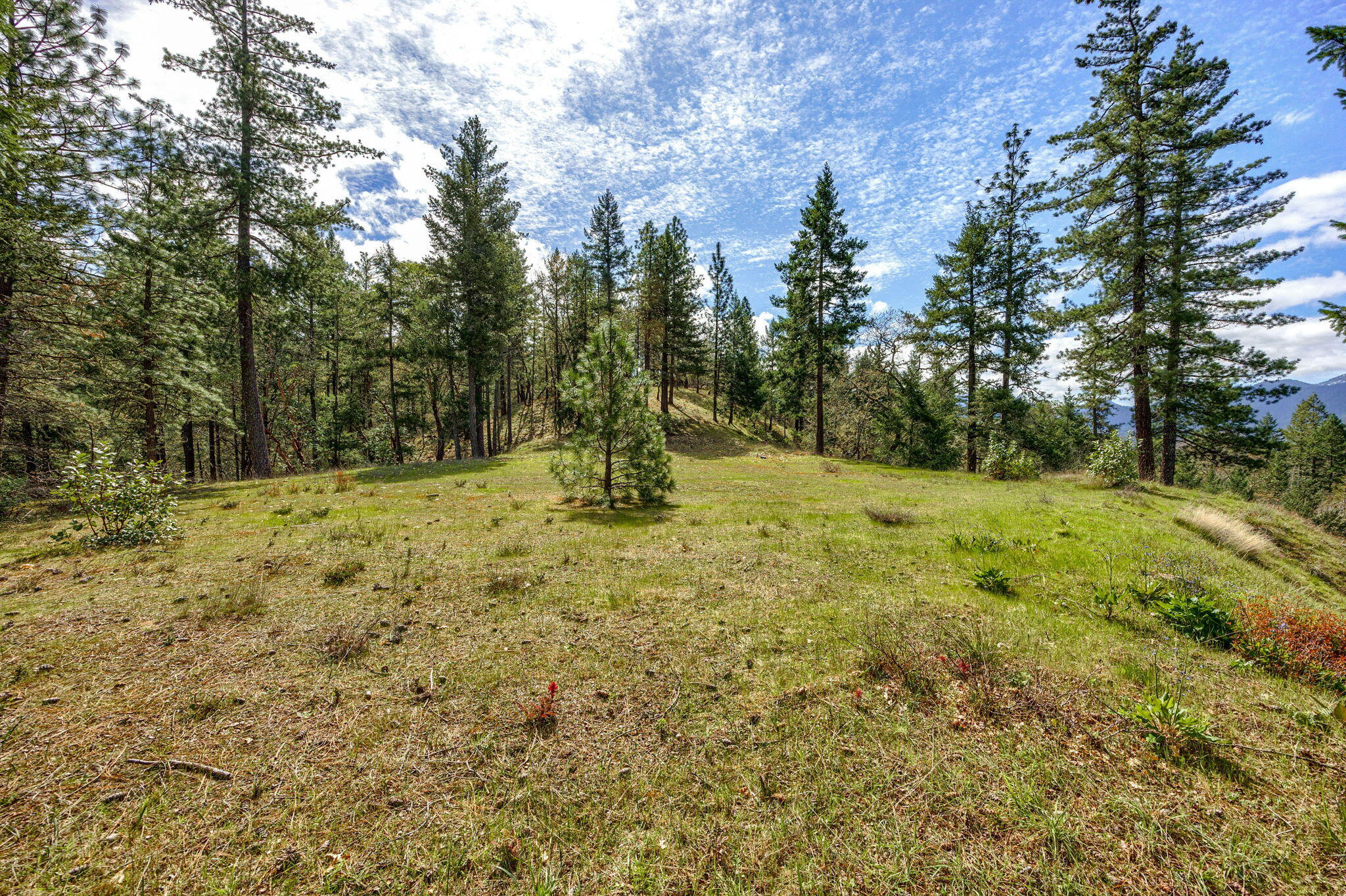 820 South Espey Road Grants Pass, OR 97527 - Photo 21 of 25 21-web-or-mls-ApxSER (21)