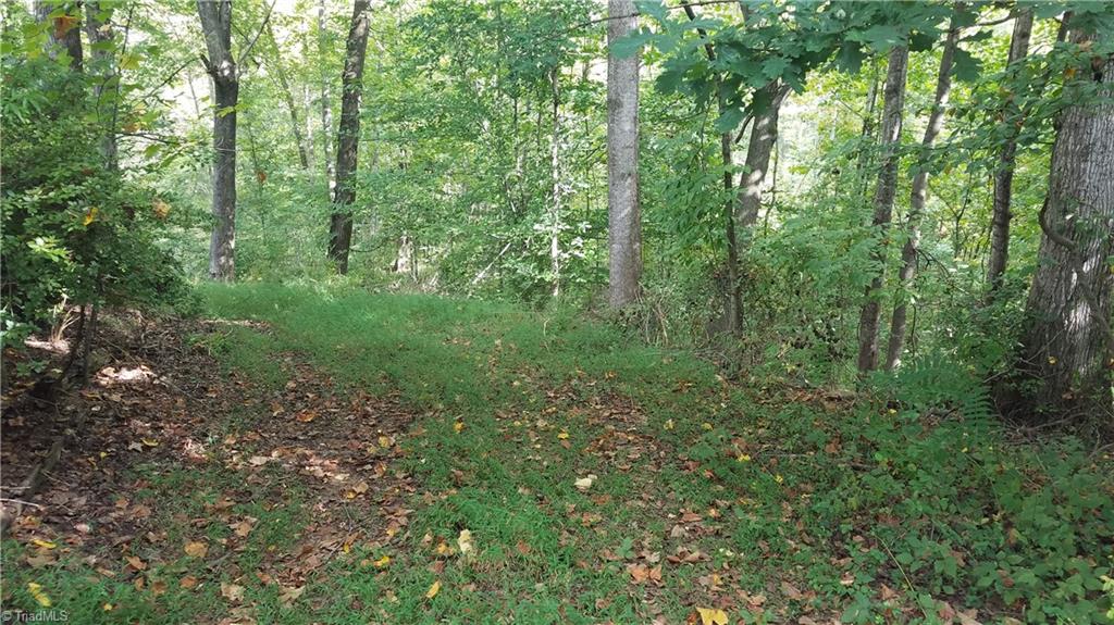 13 Noel Road Stoneville, NC 27048 - Photo 2 of 3