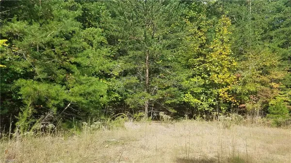 $17,900 | 13 Noel Road, Stoneville, NC 27048
