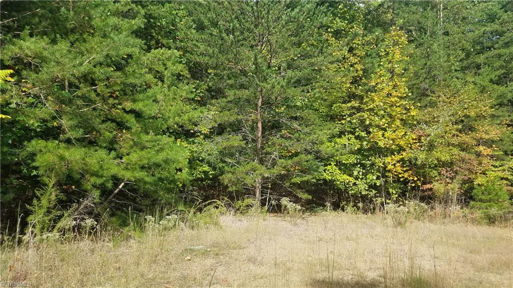 13 Noel Road Stoneville, NC 27048 - Photo 3 of 3