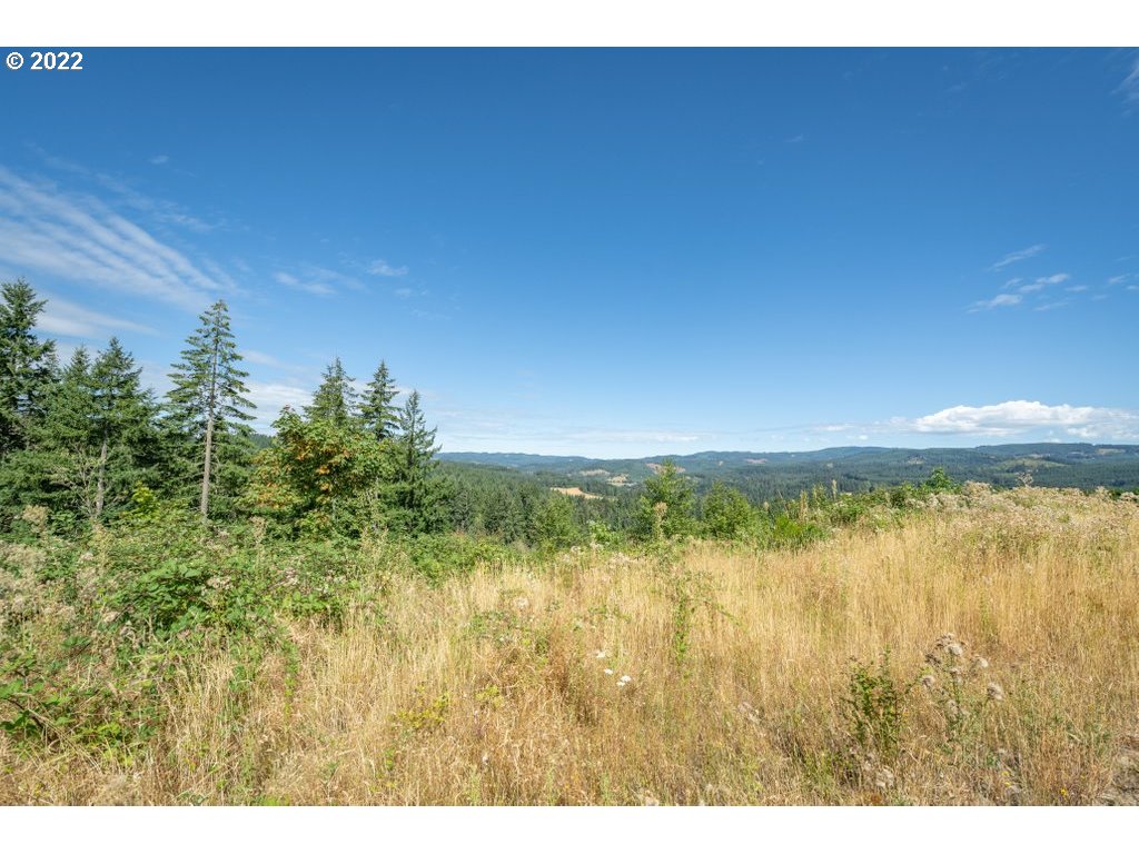 18282 Northwest Hilltop Place Banks, OR 97106 - Photo 12 of 15