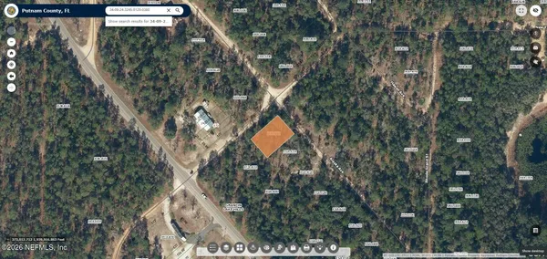 a view of tree in front of a yard