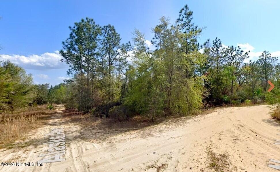 0 Alaska Avenue Interlachen, FL 32148 - Photo 7 of 11 a view of a yard with trees