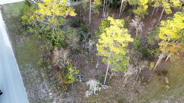 a view of outdoor space and basketball court