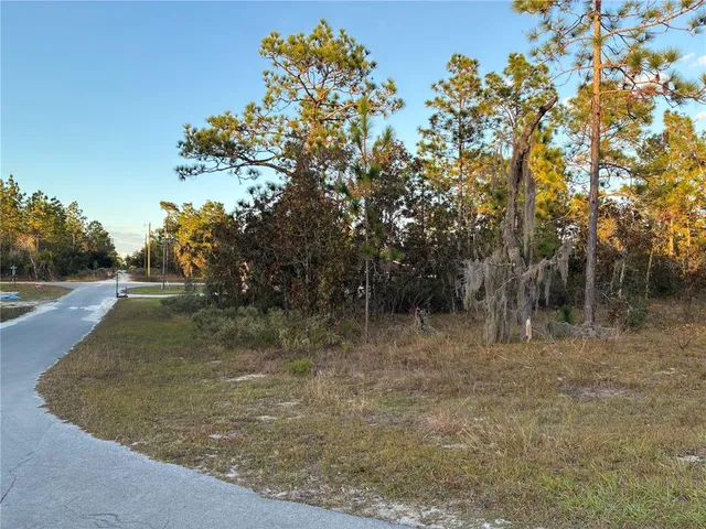 a view of swimming pool from a window
